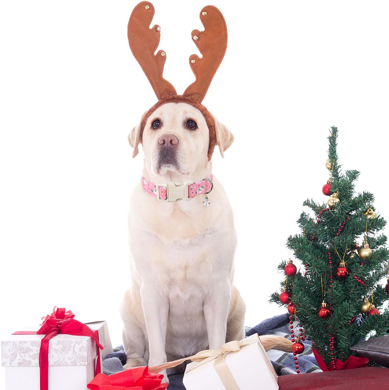 Christmas Snowman Dog Collar- Cute Designer Christmas Blue Dog Collars Adjustable Christmas Deer Dog Collar for Small Medium Large Dogs