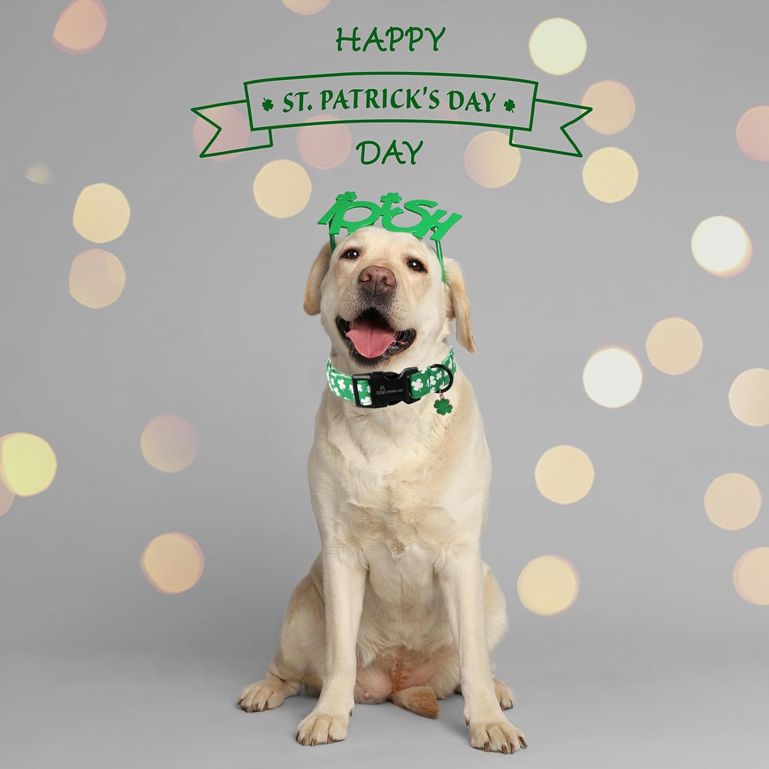 St Patrick's Day Dog Collar-Cute Green Clovers Dog Collars, Adjustable Shamrock Pet Collars Trefoil Puppy Collar with Quick Release Buckle for Girl&Boy Dogs