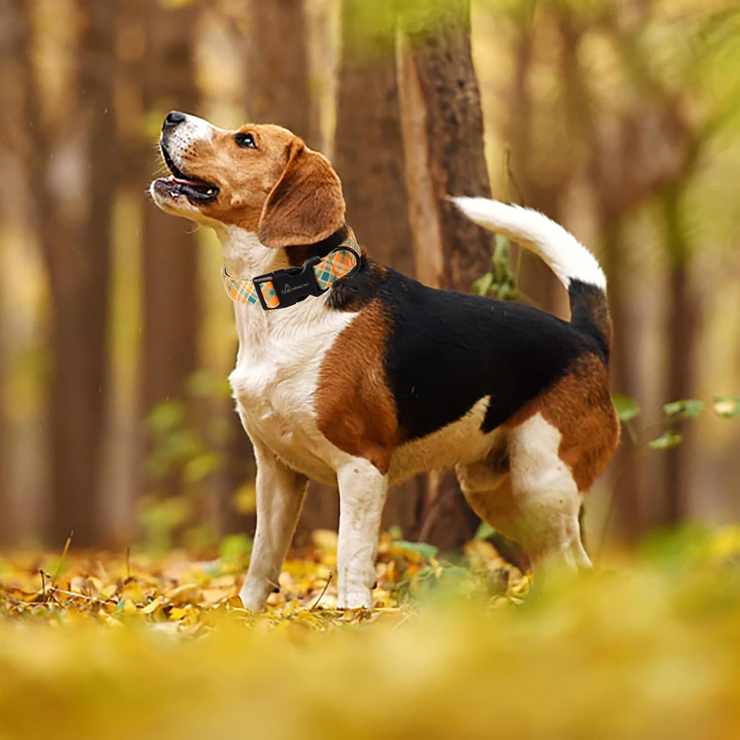 Fall Dog Collar-Cute Small Dog Collar, Adjustable Halloween Plaid Pet Collars Puppy Collar with Quick Release Buckle for Girl&Boy Dogs