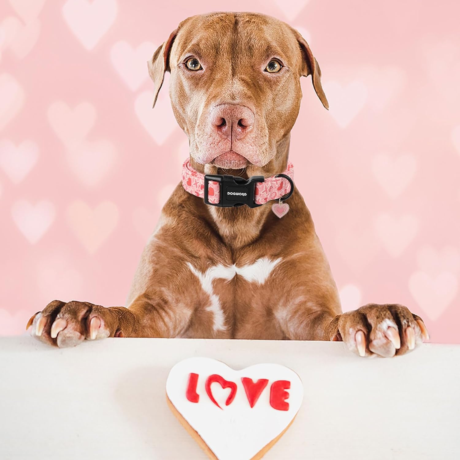 Valentine's Day Dog Collar, Cute Heart Dog Collars, Adjustable Valentine Pink Candy Heart Pet Collars Design Dog Collar with Quick Release Buckle for Puppy Girl Boy Female Dogs