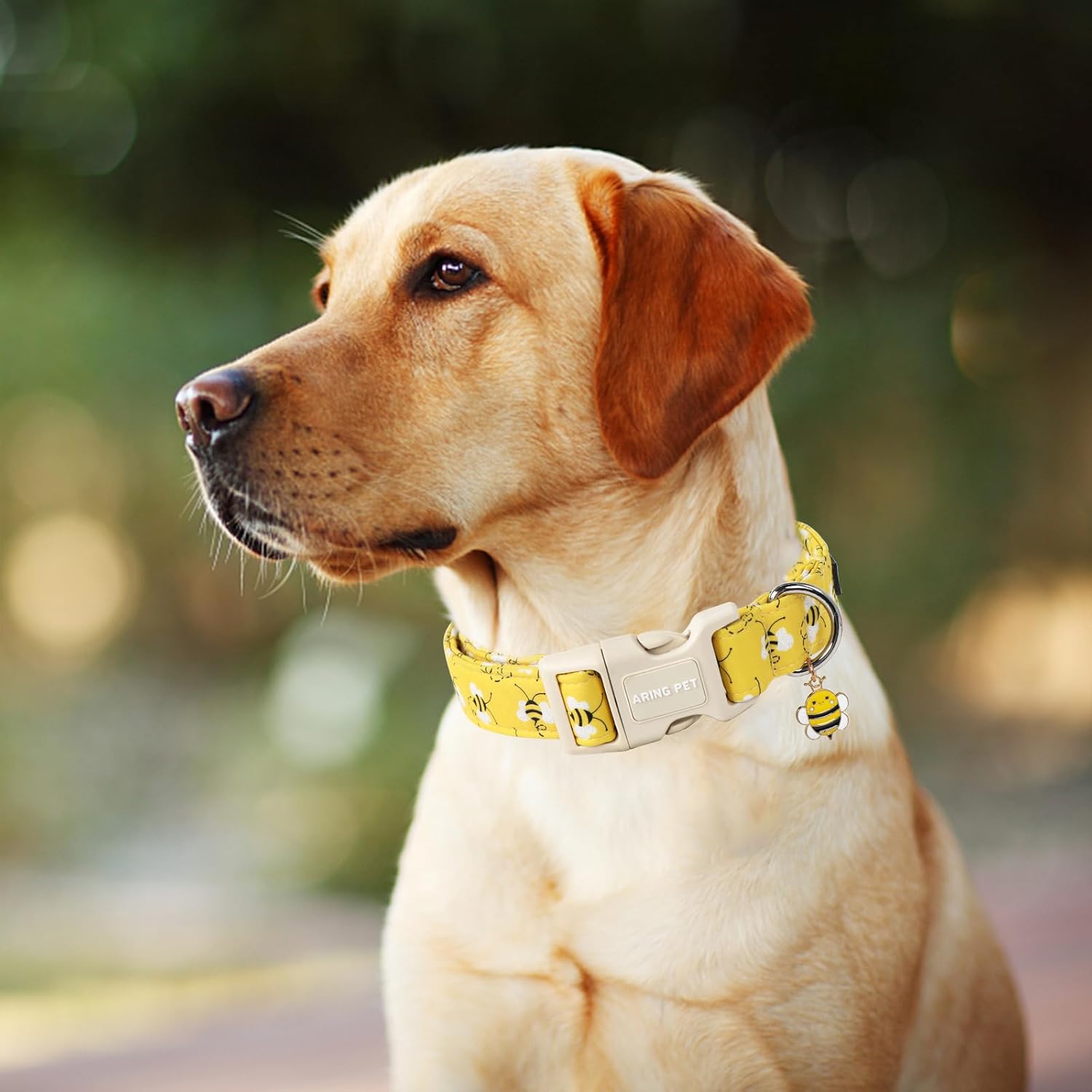 Bees Dog Collar-Cute Dog Collar for Small Dogs, Adjustable Yellow Bees Print Pet Collars Puppy Collar for Small Medium Large Dogs