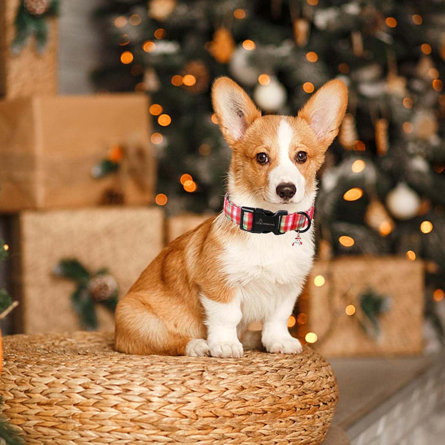 Christmas Dog Collar-Cute Red Green Plaid Dog Collars, Adjustable Christmas Pet Collars Puppy Collar with Quick Release Buckle for Girl&Boy Dogs