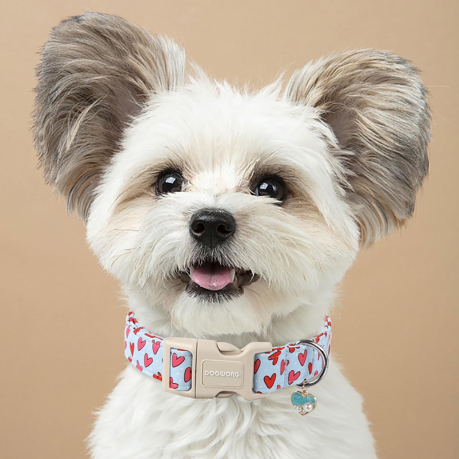 Valentine Dog Collar- Cute Blue Heart Dog Collars Adjustable Designer Valentine’s Day Puppy Heart Dog Collar for Small Medium Large Dogs