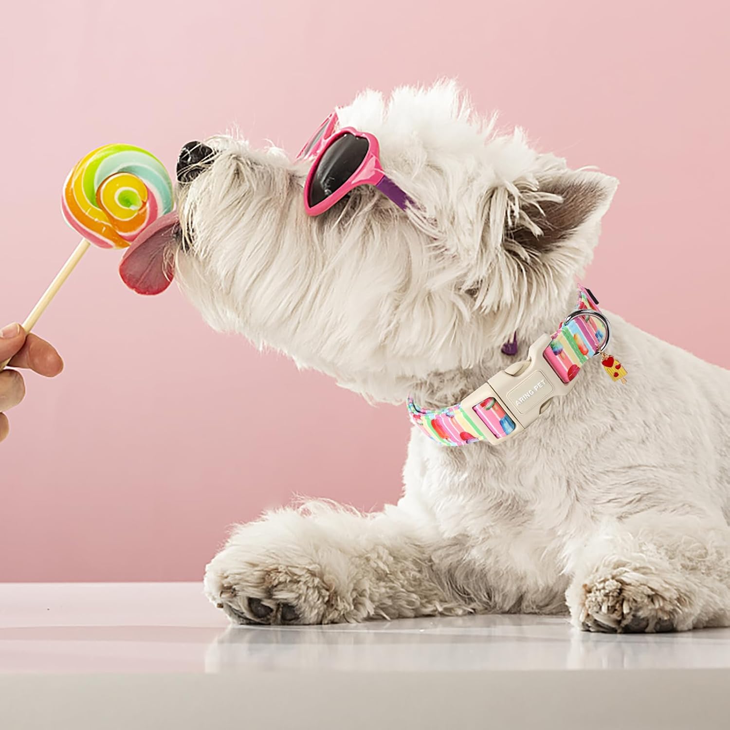 Summer Dog Collar-Cute Popsicle Dog Collar for Small Dogs, Adjustable Multicolor Ice Cream Pet Collars Puppy Collar for Small Medium Large Dogs
