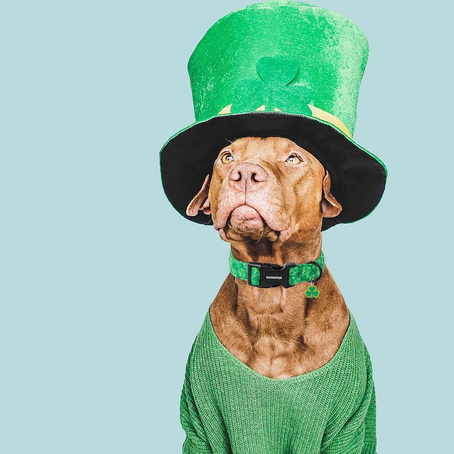 St. Patrick's Day Dog Collar, Cute Green Clover Dog Collars, Adjustable St. Patrick's Day Pet Collars Design Dog Collar with Quick Release Buckle for Boy Female Dogs