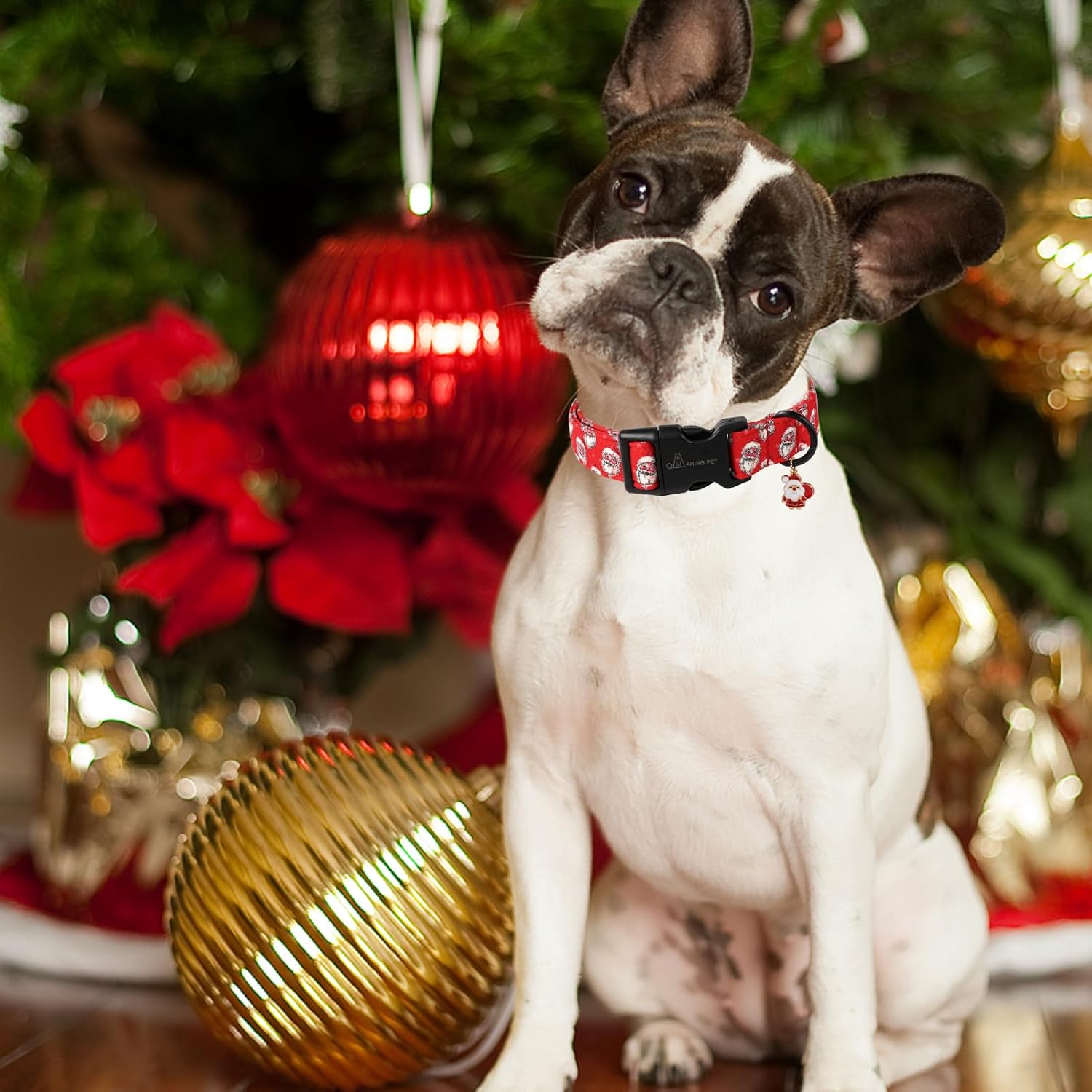 Christmas Dog Collar-Cute Red Santa Claus Dog Collars, Adjustable Christmas Pet Collars Puppy Collar with Quick Release Buckle for Girl&Boy Dogs