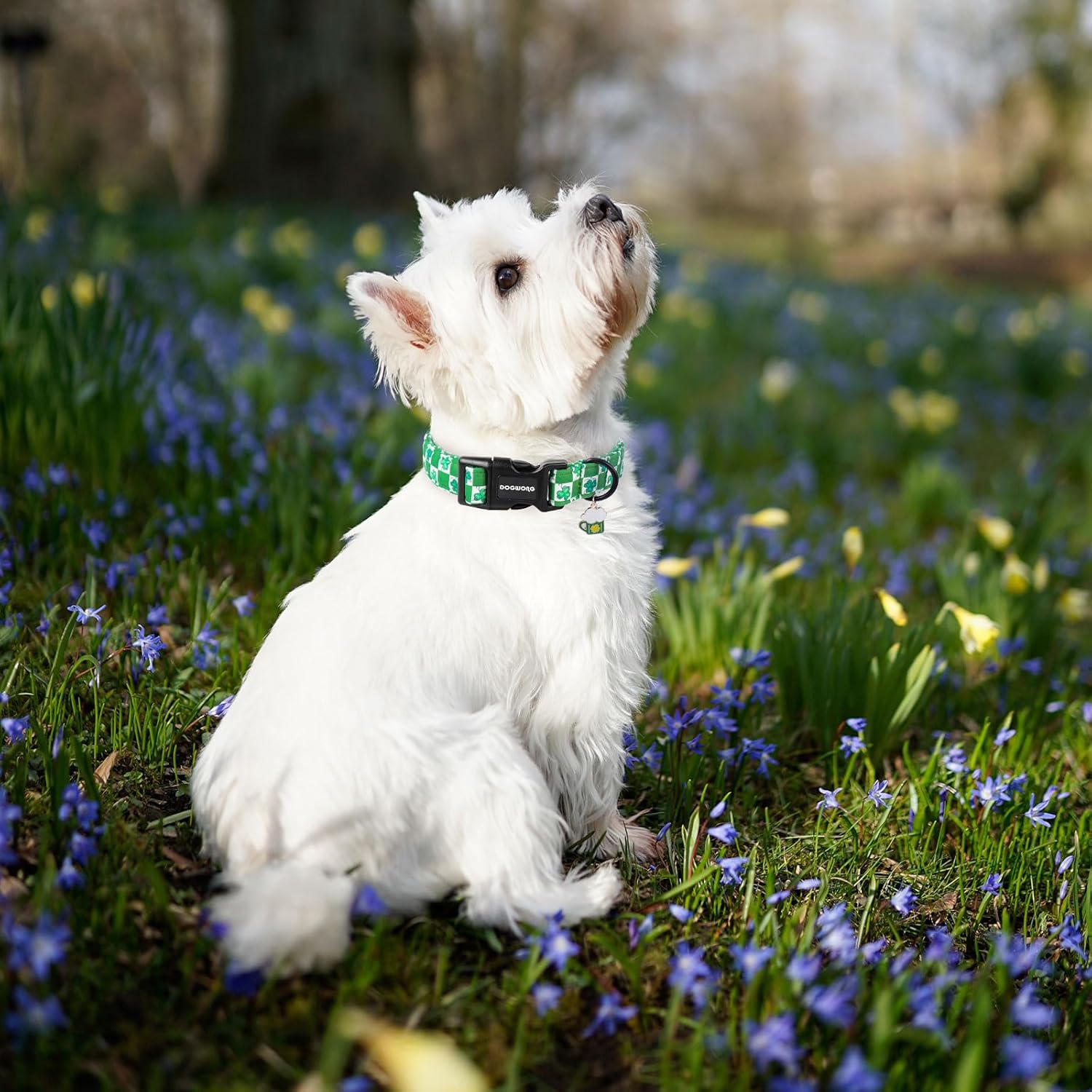 Dog Collars Adjustable St. Patrick's Day Puppy Clover Dog Collar for Small Medium Large Dogs