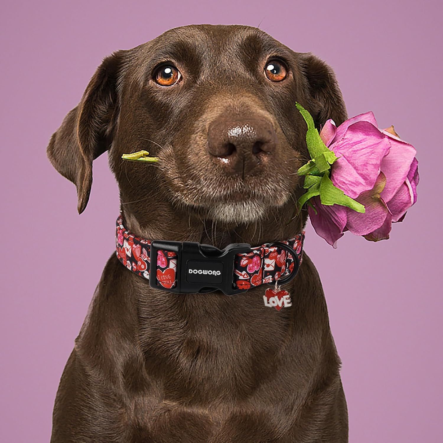 Valentine Dog Collar- Cute Red Heart Dog Collars Adjustable Durable Designer Valentine’s Day Dog Collar for Small Medium Large Dogs
