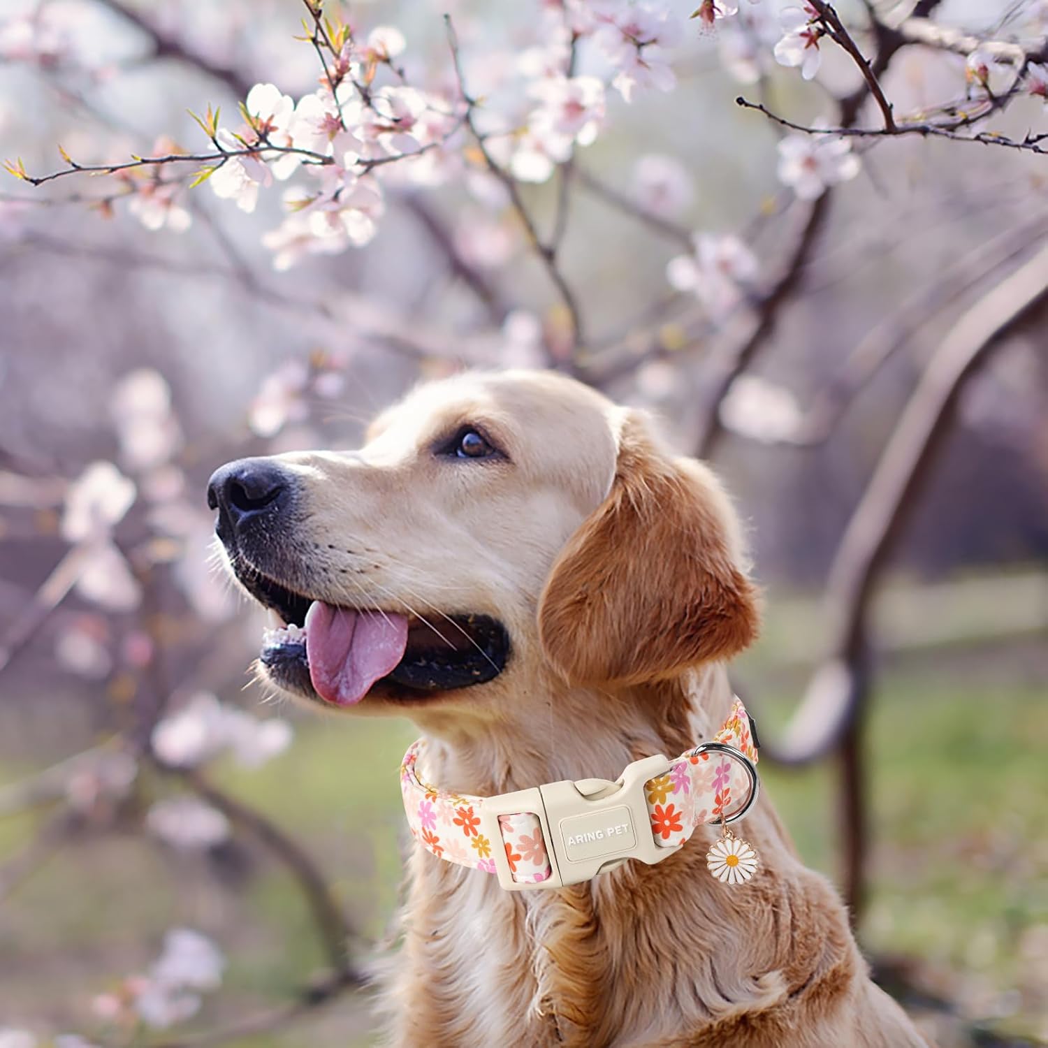 Summer Dog Collar-Cute Dog Collar for Small Dogs, Adjustable Cotton Sunflower Pet Collars Puppy Collar for Small Medium Large Dogs