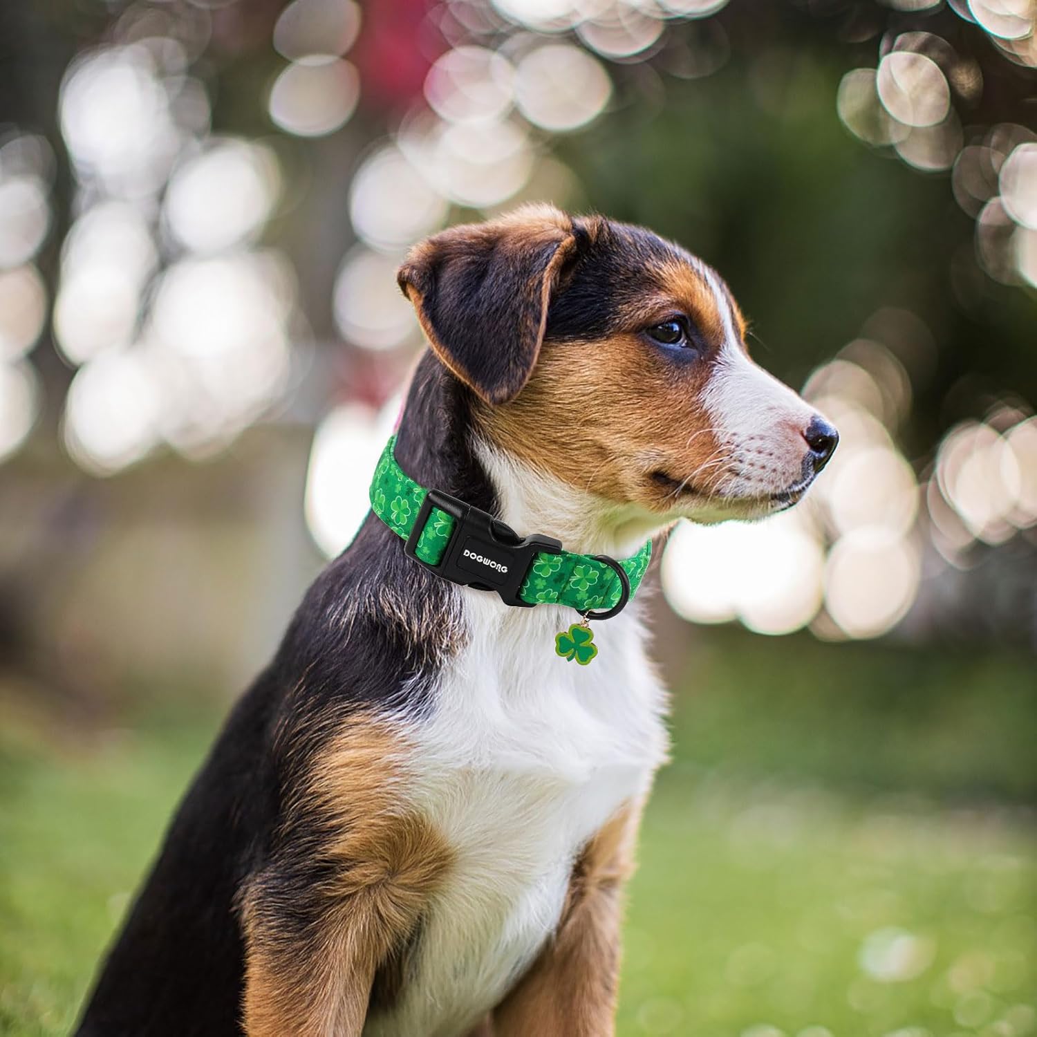 St. Patrick's Day Dog Collar, Cute Green Clover Dog Collars, Adjustable St. Patrick's Day Pet Collars Design Dog Collar with Quick Release Buckle for Boy Female Dogs
