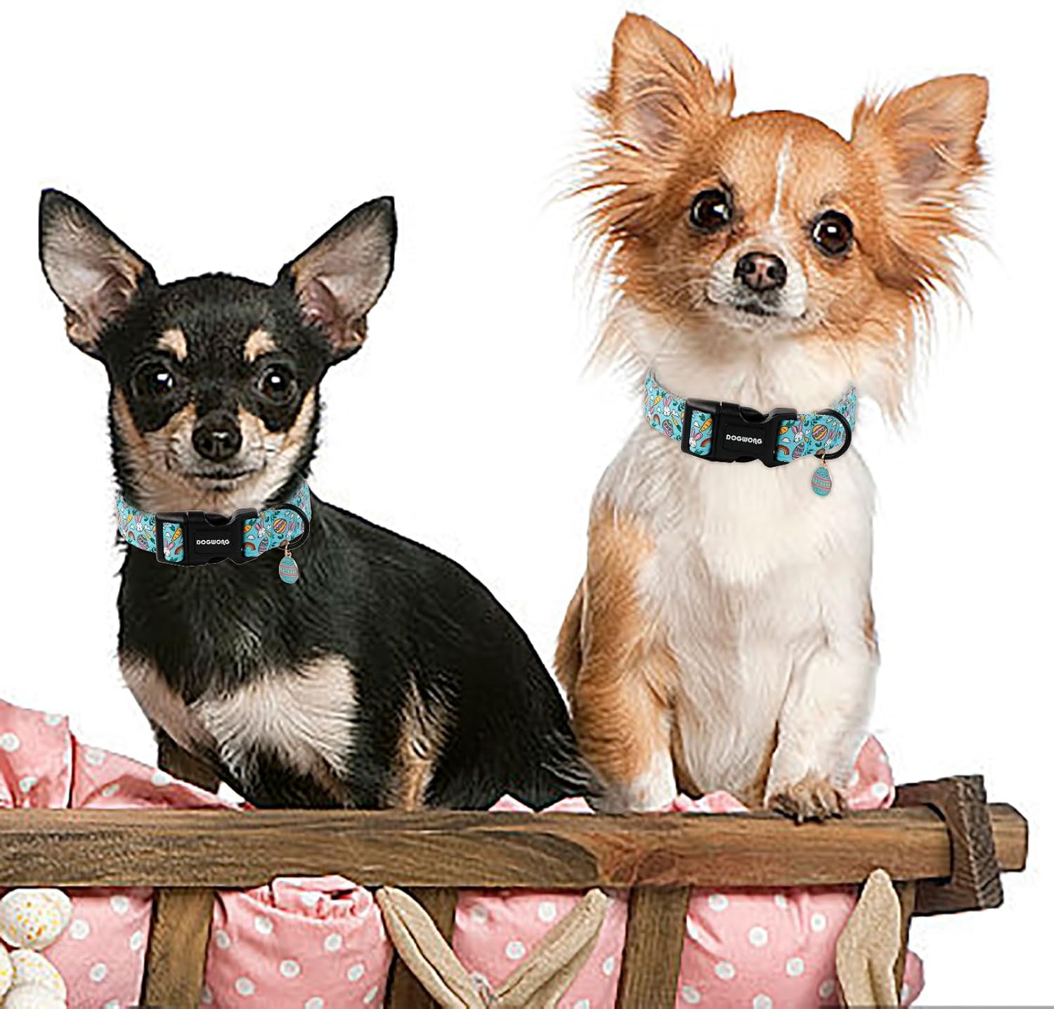 Easter Dog Collar- Cute Blue Babbit Egg Dog Collars Adjustable Designer Easter Day Puppy Heart Dog Collar for Small Medium Large Dogs