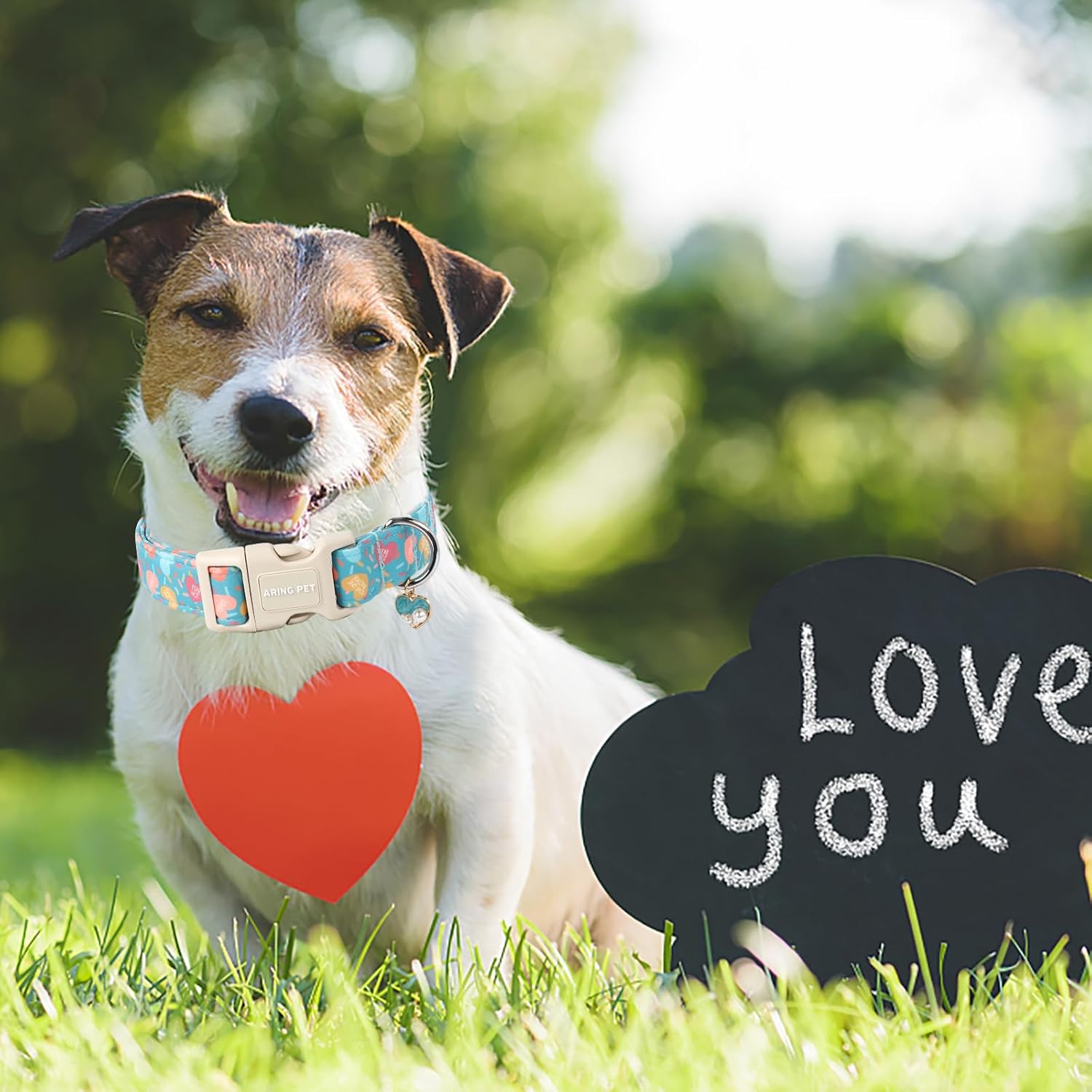 Valentine's Day Dog Collar-Cute Blue Heart Dog Collars, Adjustable Valentine Heart Pet Collars Puppy Collar with Quick Release Buckle for Girl&Boy Dogs