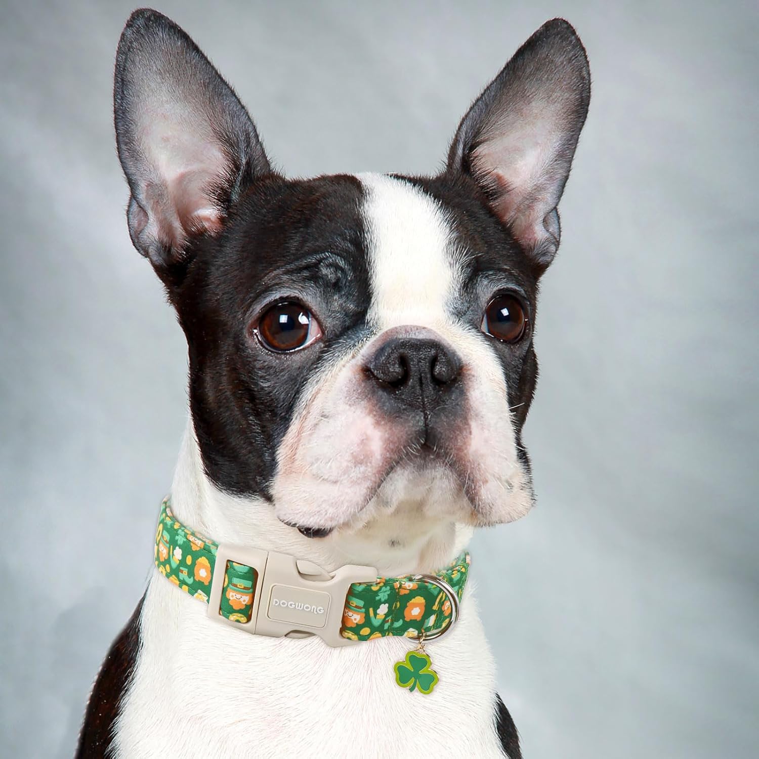 Green Dog Collar- Cute Trefoil Flower Dog Collars Adjustable St. Patrick's Day Puppy Clover Dog Collar for Small Medium Large Dogs