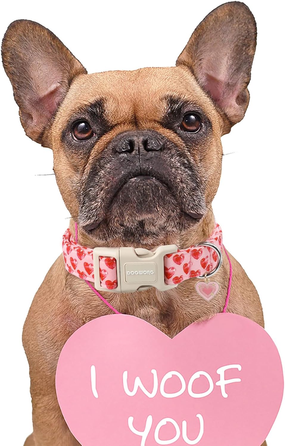 Valentine Dog Collar- Cute Pink Heart Dog Collars Adjustable Durable Designer Valentine’s Day Dog Collar for Small Medium Large Dogs