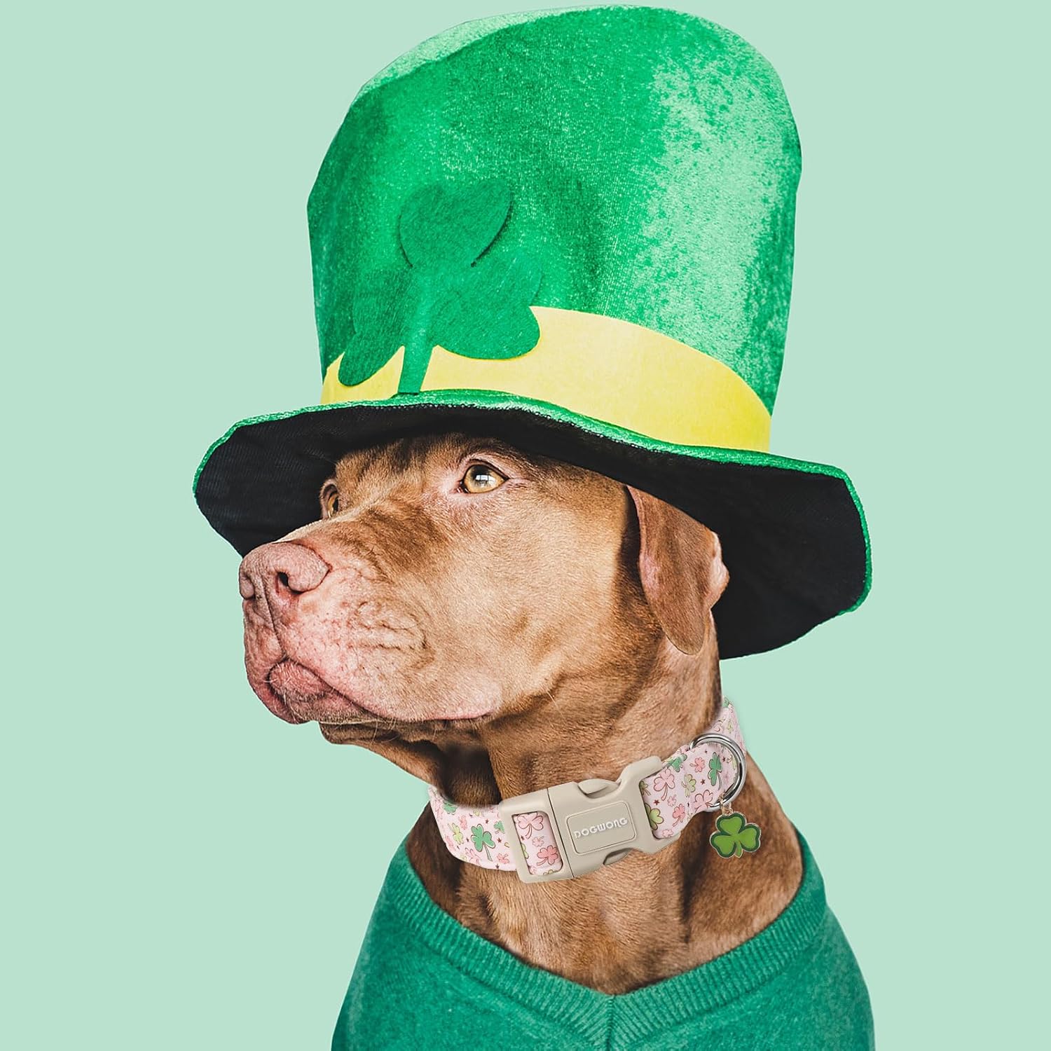 Green Dog Collar- Spring Female Dog Collars Adjustable St. Patrick's Day Puppy Pink Clover Dog Collar for Small Medium Large Dogs