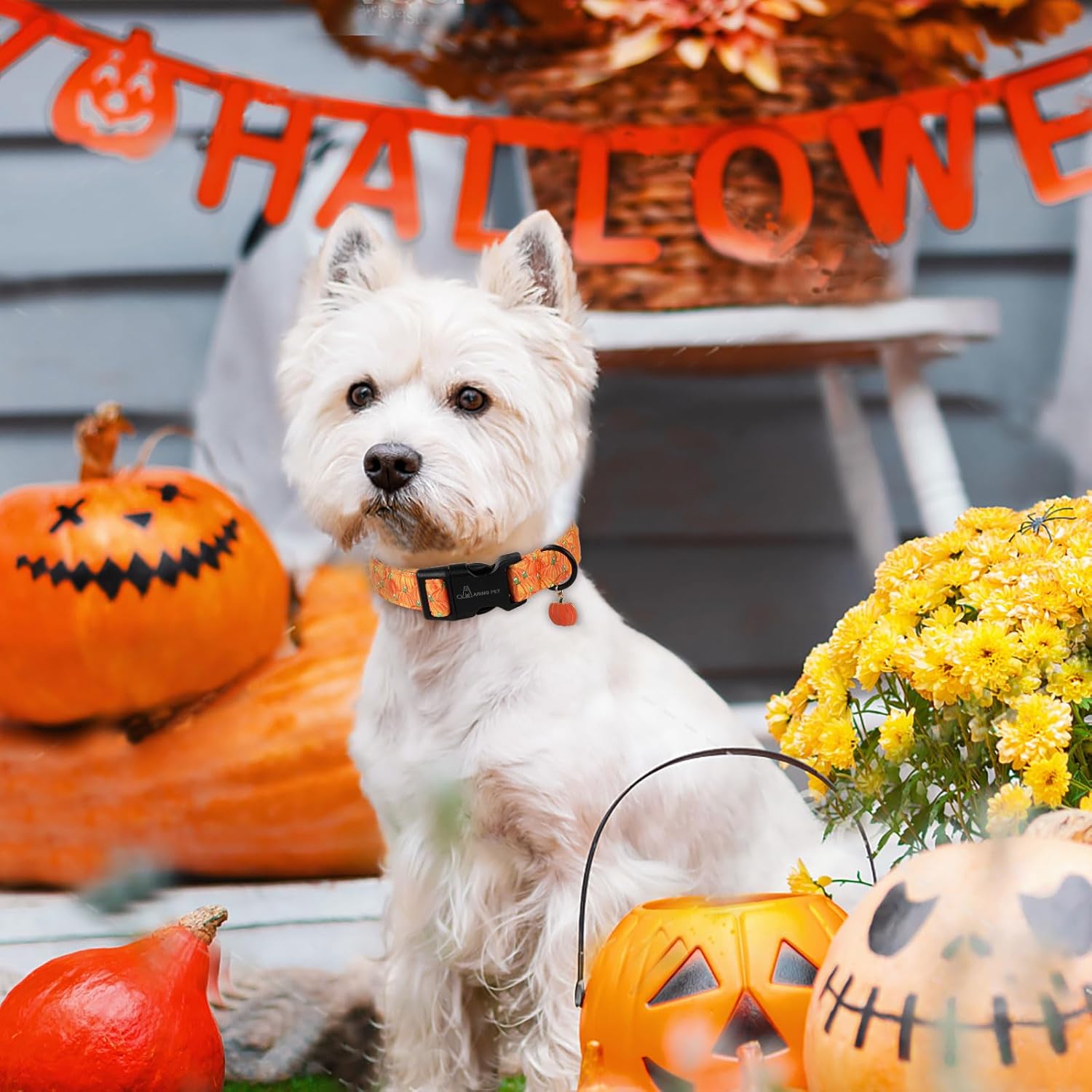 Halloween Dog Collar-Cute Pumpkin Dog Collars, Adjustable Halloween Pumpkin Pet Collars Puppy Collar with Quick Release Buckle for Girl&Boy Dogs