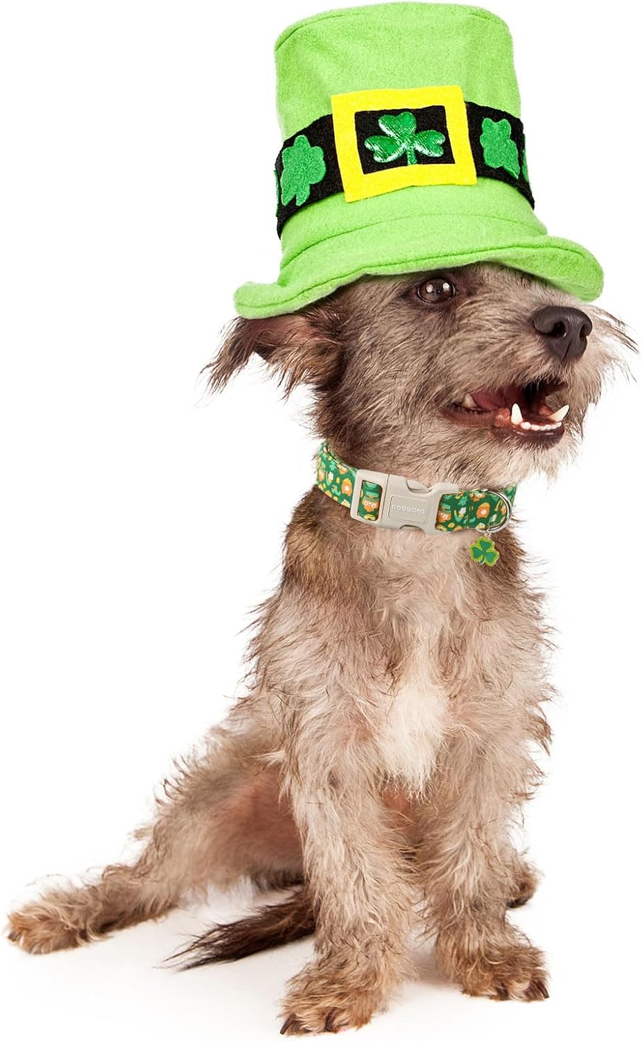 Green Dog Collar- Cute Trefoil Flower Dog Collars Adjustable St. Patrick's Day Puppy Clover Dog Collar for Small Medium Large Dogs
