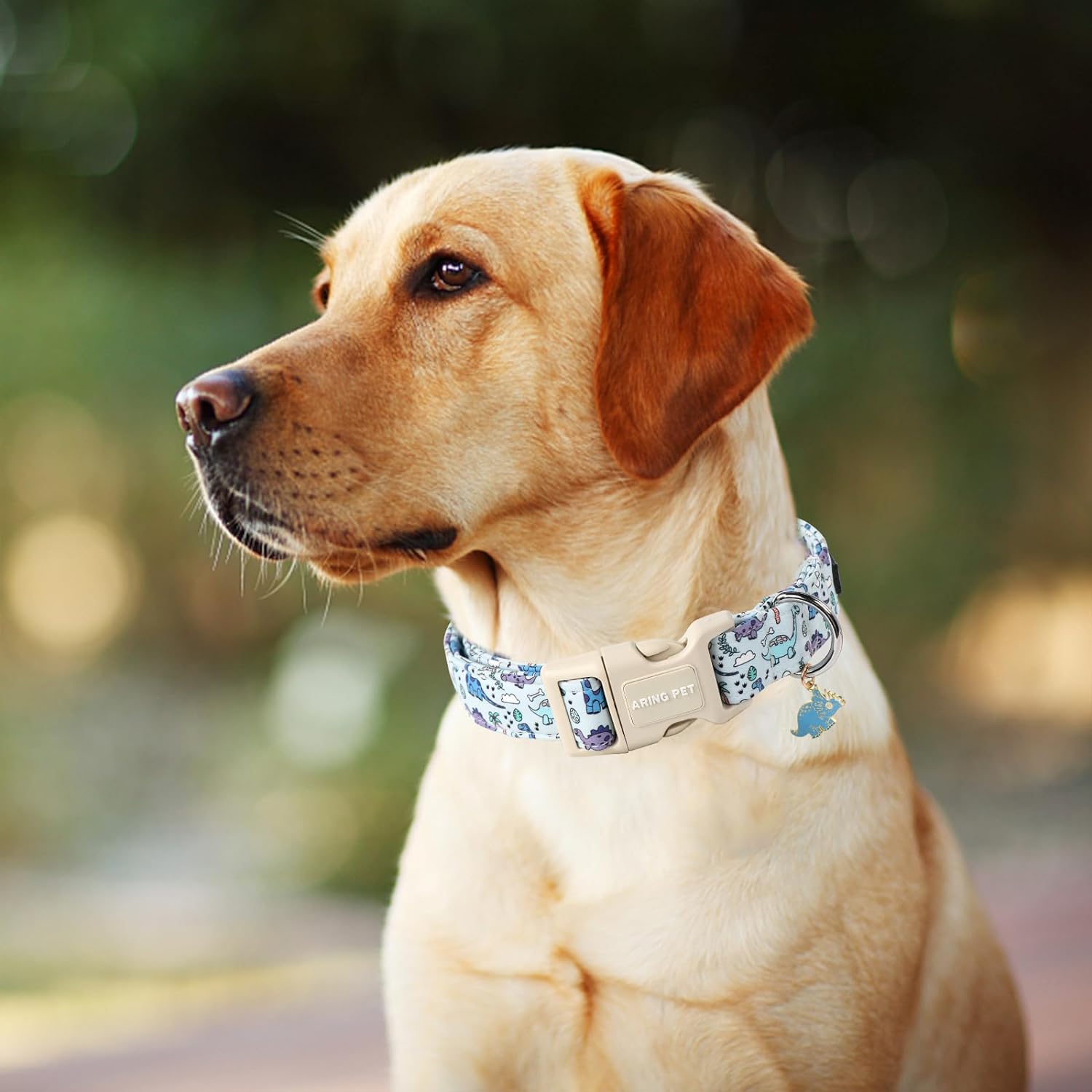 Dinosaur Dog Collar-Cute Dog Collar for Small Dogs, Adjustable Dinosaur Print Pet Collars Puppy Collar for Small Medium Large Dogs