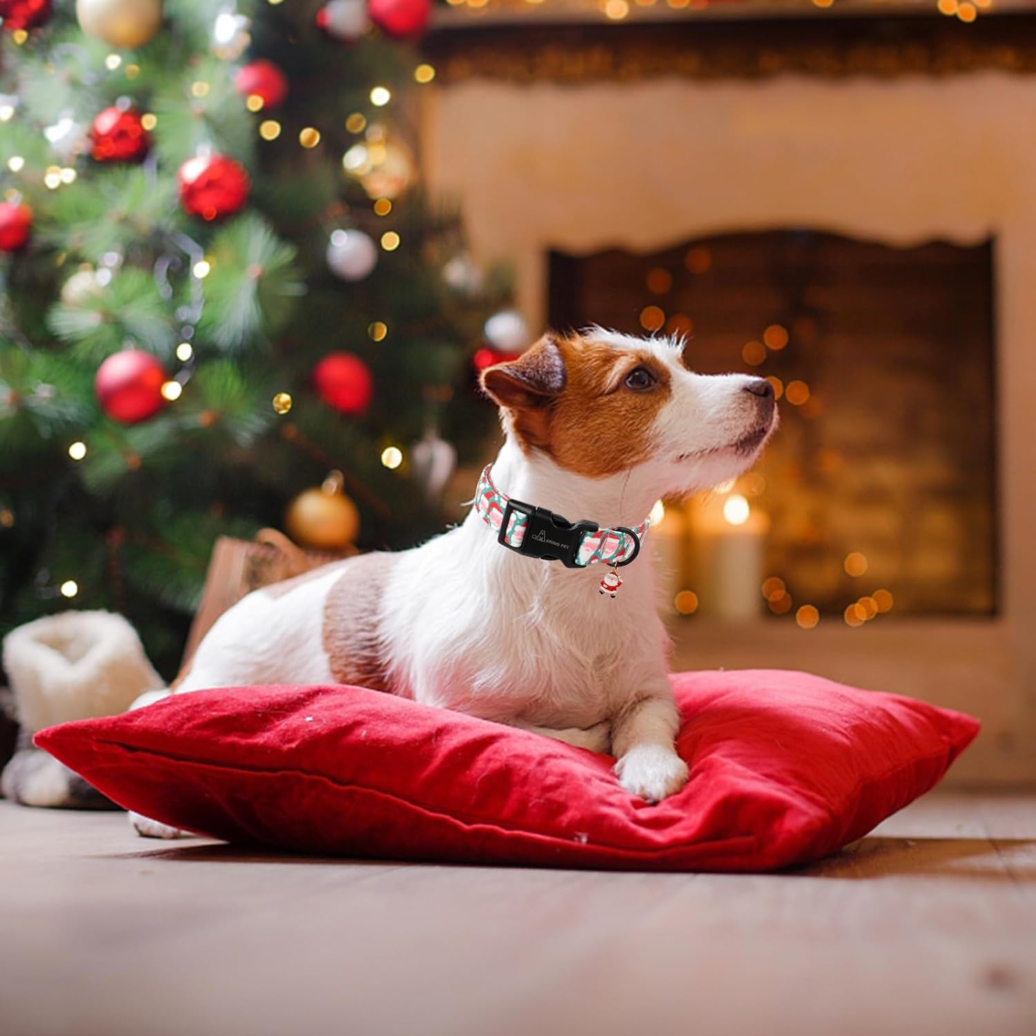 Christmas Dog Collar-Cute Green Santa Claus Dog Collars, Adjustable Christmas Pet Collars Puppy Collar with Quick Release Buckle for Girl&Boy Dogs