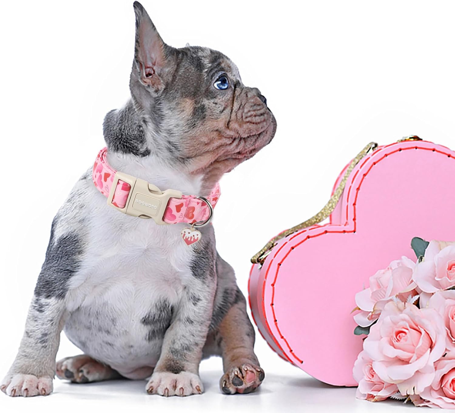 Valentine's Day Dog Collar, Cute Heart Dog Collars, Adjustable Valentine Pink Heart Pet Collars Design Dog Collar with Quick Release Buckle for Puppy Girl Boy Female Dogs