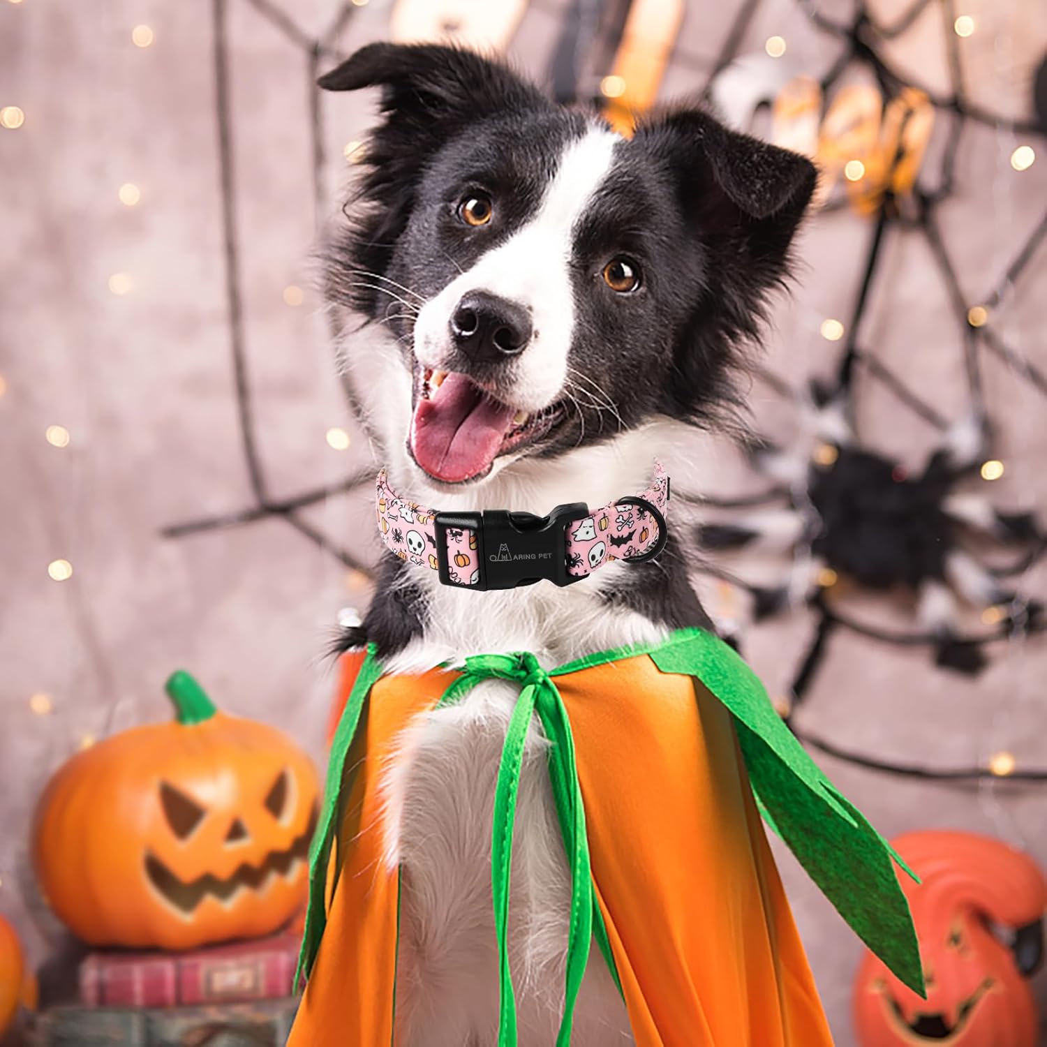 Halloween Dog Collar-Cute Pink Pumpkin Dog Collar, Adjustable Spider Bat Skull Print Pet Collars Puppy Collar with Quick Release Buckle for Girl&Boy Dogs