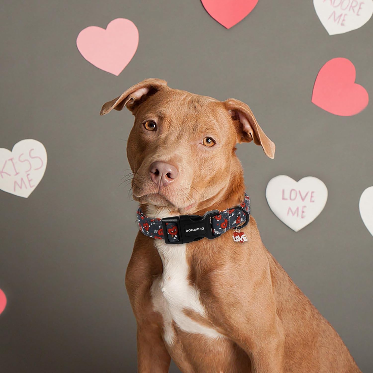 Valentine's Day Dog Collar, Cute Heart Dog Collars, Adjustable Valentine Red Heart Pet Collars Design Dog Collar with Quick Release Buckle for Puppy Girl Boy Female Dogs
