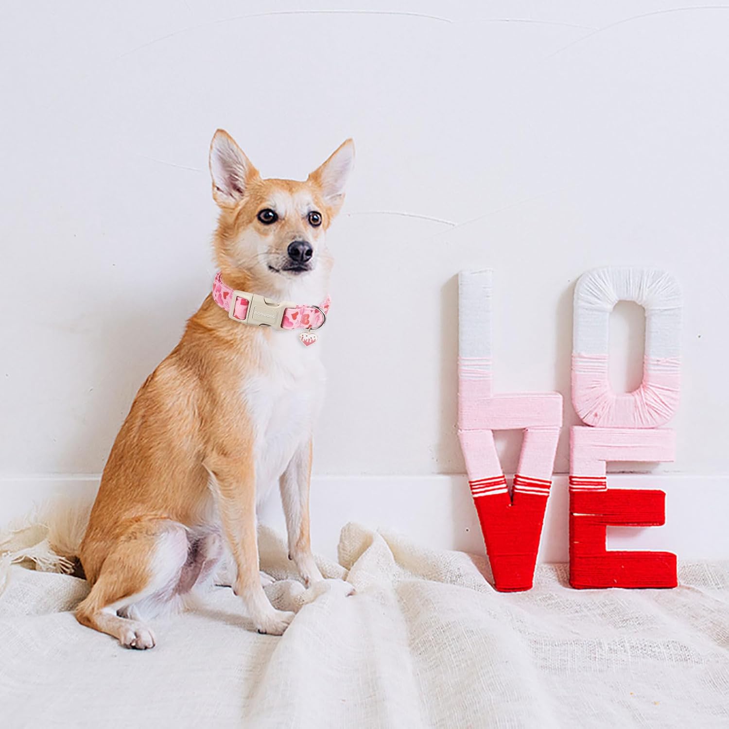 Valentine's Day Dog Collar, Cute Heart Dog Collars, Adjustable Valentine Pink Heart Pet Collars Design Dog Collar with Quick Release Buckle for Puppy Girl Boy Female Dogs