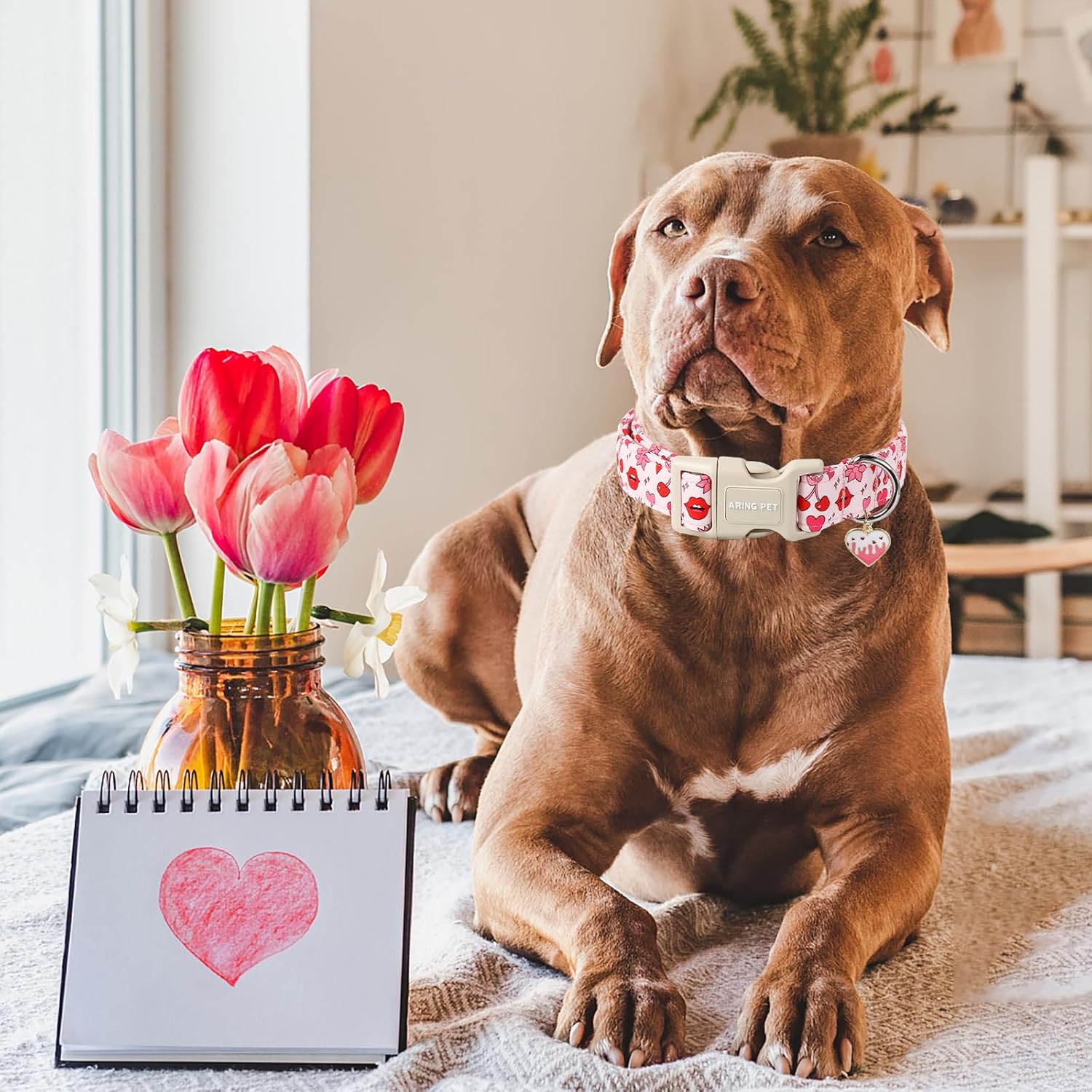 Valentine's Day Dog Collar-Cute Pink Heart Dog Collars, Adjustable Valentine Lips Pet Collars Puppy Collar with Quick Release Buckle for Girl&Boy Dogs