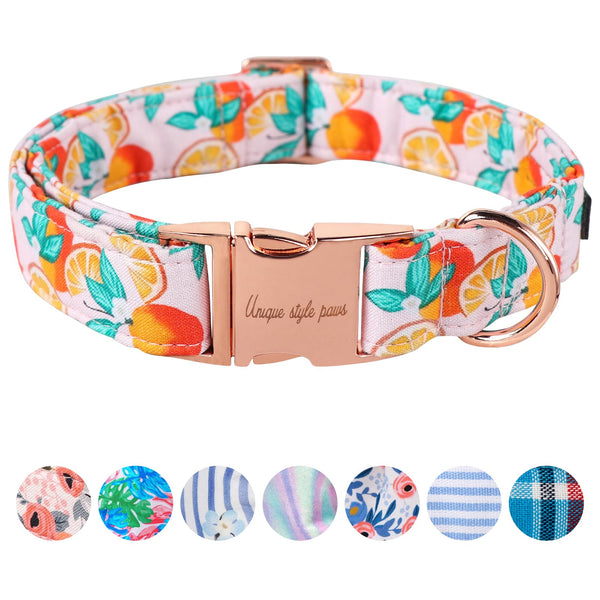 Dog Collar Metal Buckle Orange Collar Gift Durable Cute Collar for Small Medium Large Boys Girls Dogs