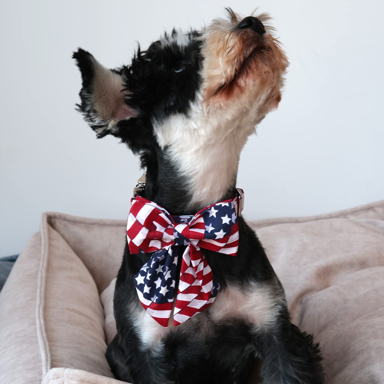 4th of July,Adjustable American Flag Collar with Sailor Bow