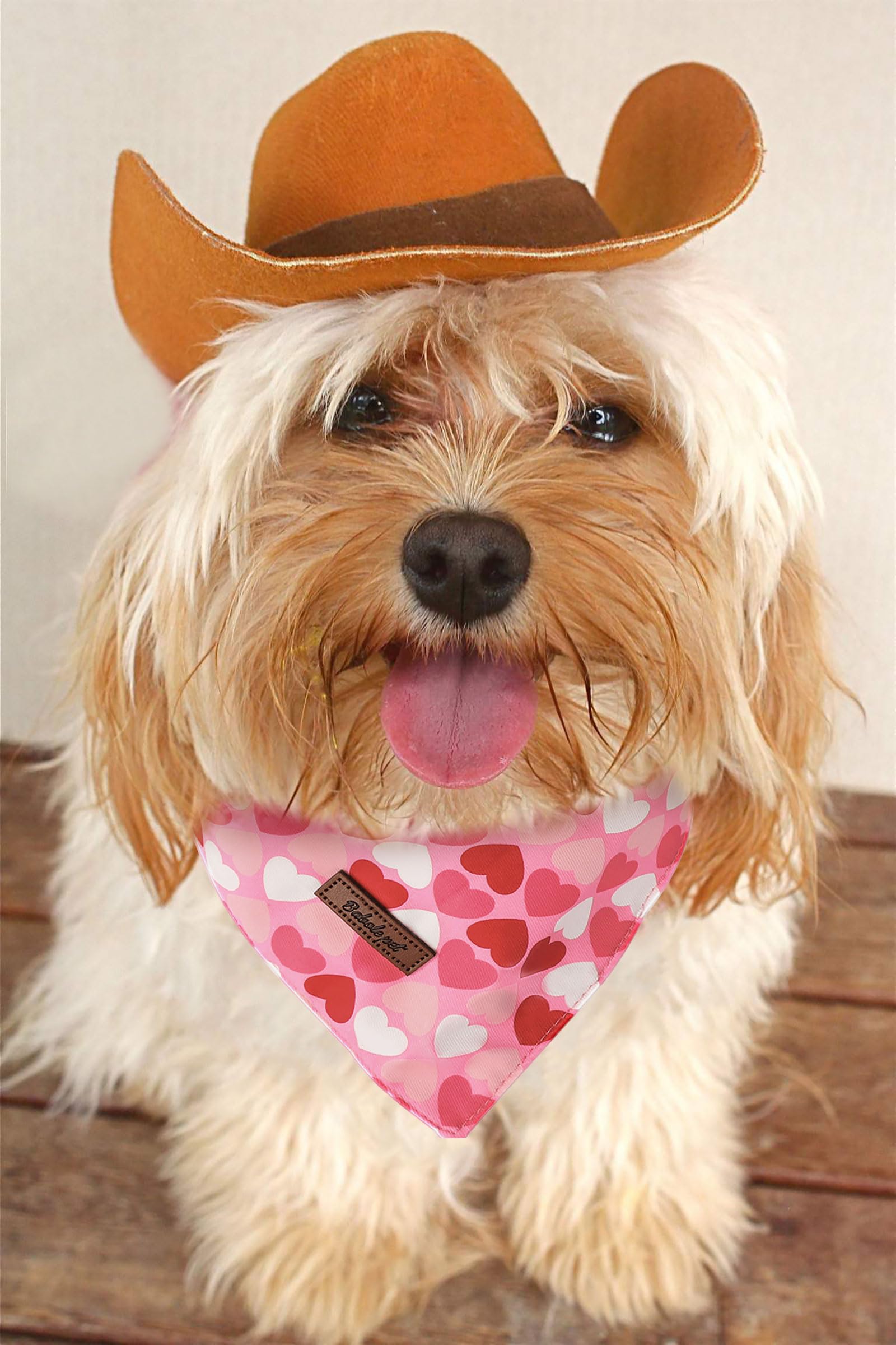 Valentine's Day Dog Bandanas 2 Pack, Pink Red Heart Pattern Valentines Dog Scarf Bib for Boy and Girl, Cute Holiday Bandana for Dogs and Cats