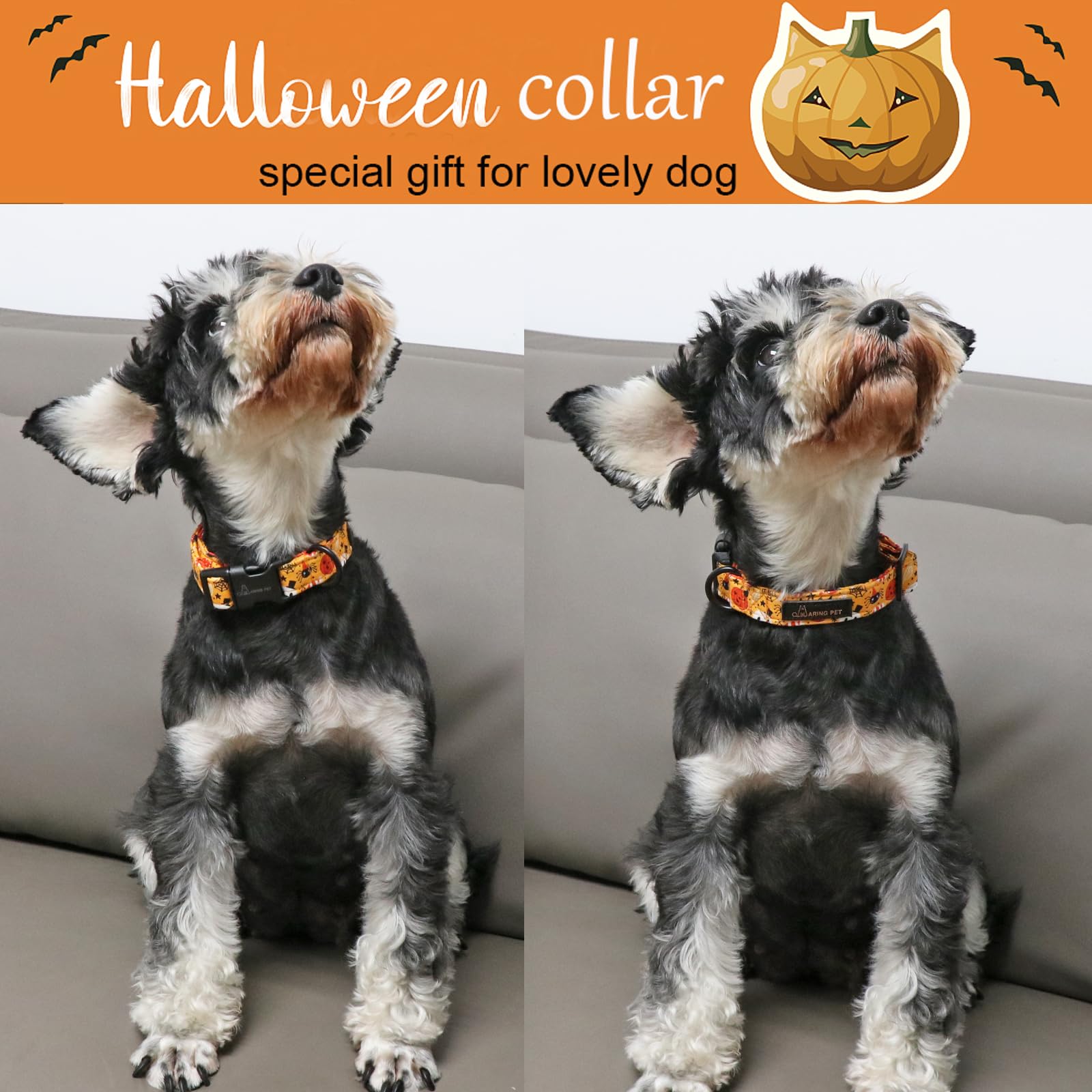 Halloween Dog Collar-Cute Pumpkin Dog Collar for Small Dogs, Adjustable Halloween Ghost Dog Collars for Small Medium Large Female and Male Dogs