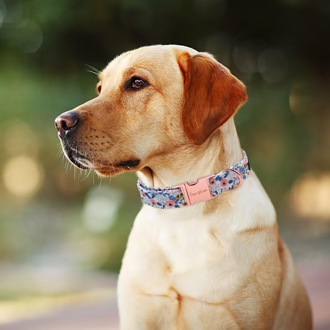 Dog Collar Metal Buckle Red Rose Collar Flower Gift Durable Cute Collar for Small Medium Large Boys Girls Dogs