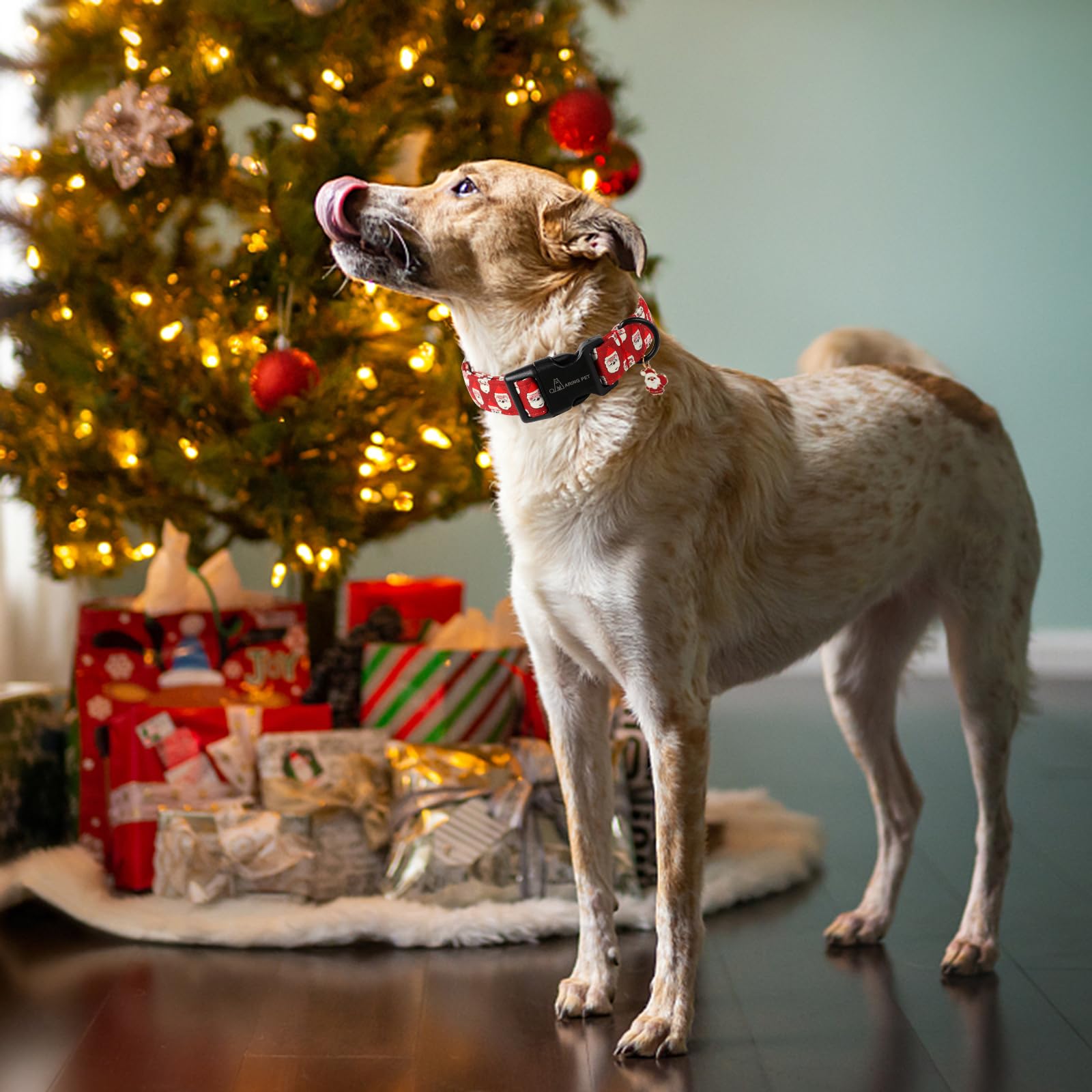Christmas Dog Collar-Cute Red Santa Claus Dog Collars, Adjustable Christmas Pet Collars Puppy Collar with Quick Release Buckle for Girl&Boy Dogs