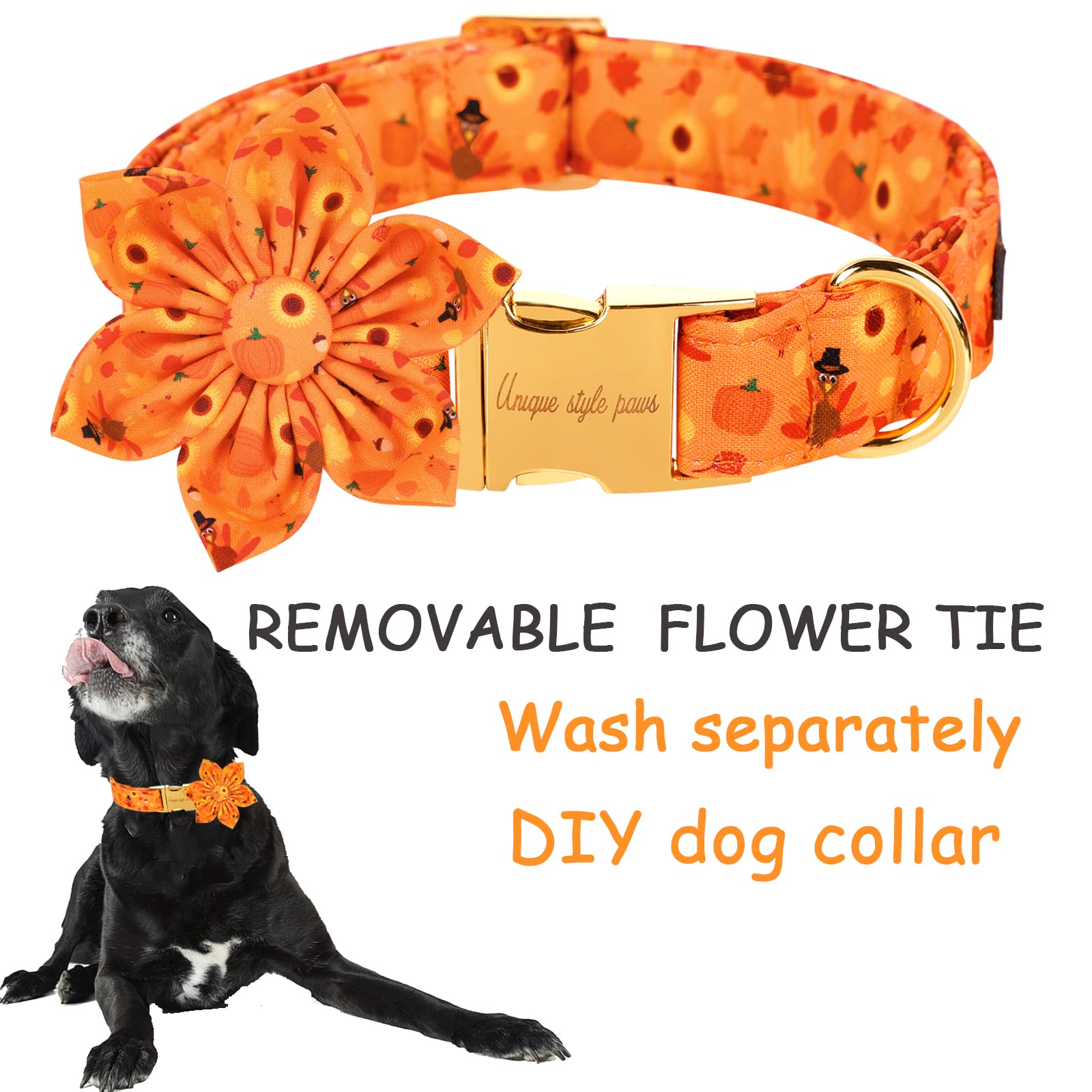 Halloween& Dog Collar with Flower