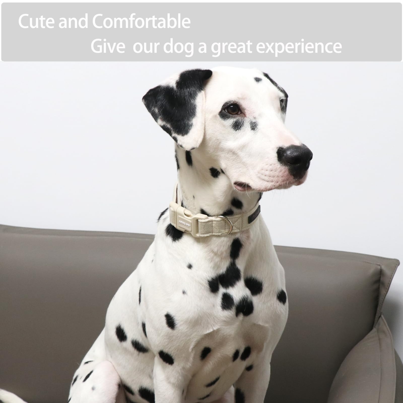 Dog Collar-Adjustable Cotton Small Dog Collars, Lightweight Comfortable Pet Collars with Quick Release Buckle for Small Medium Large Dog