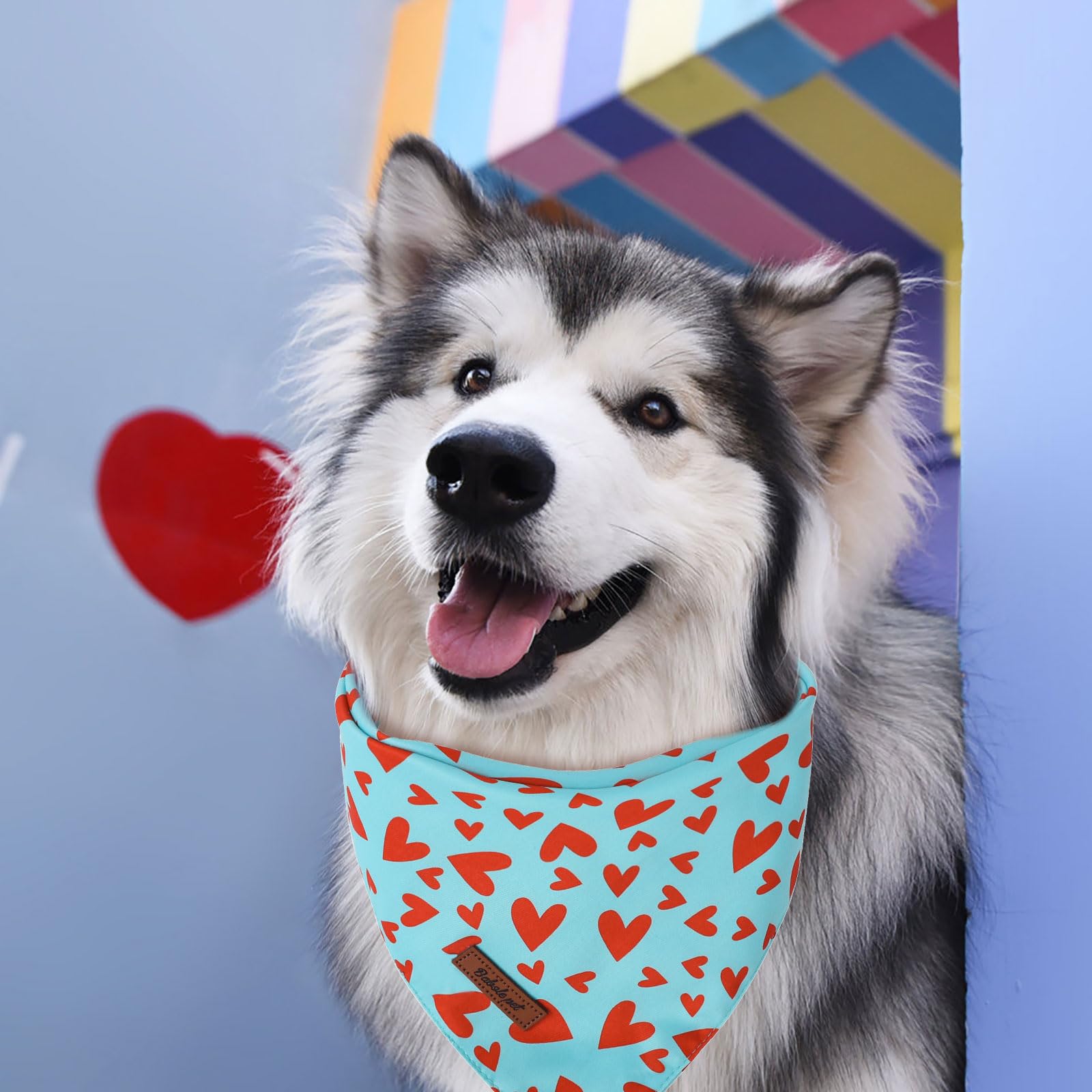 Valentine's Day Dog Bandanas 2 Pack, Pink and Sky Blue Heart Pattern Valentines Dog Scarf Bib for Boy and Girl, Cute Holiday Bandana for Dogs and Cats