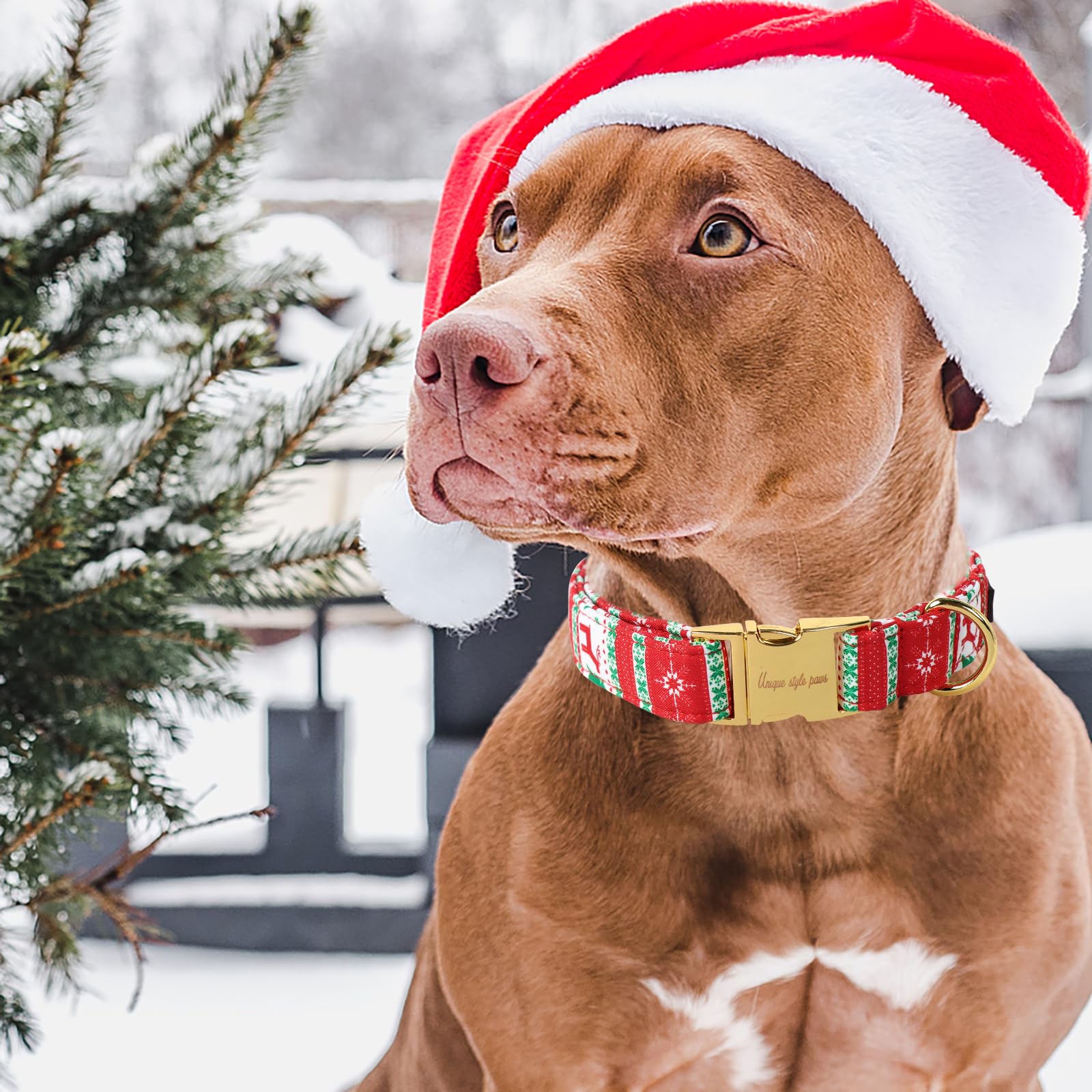 Christmas Dog Collar Metal Buckle Christmas Tree Puppy Collar Gift Durable Cute Collar for Small Medium Large Boys Girls Dogs