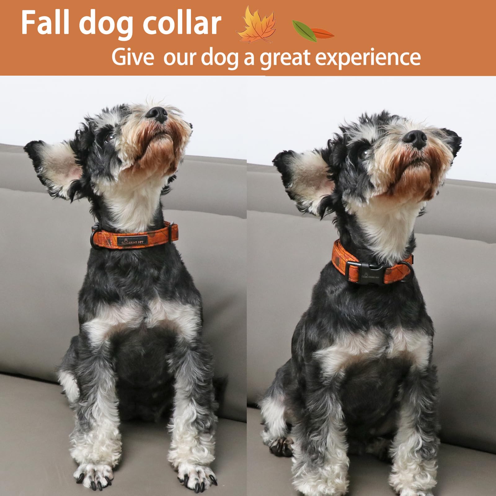 Fall Dog Collar-Cute Orange Dog Collar for Small Dogs, Cotton Lightweight Dog Collars with Quick Release Buckle for Small Medium Large Dogs