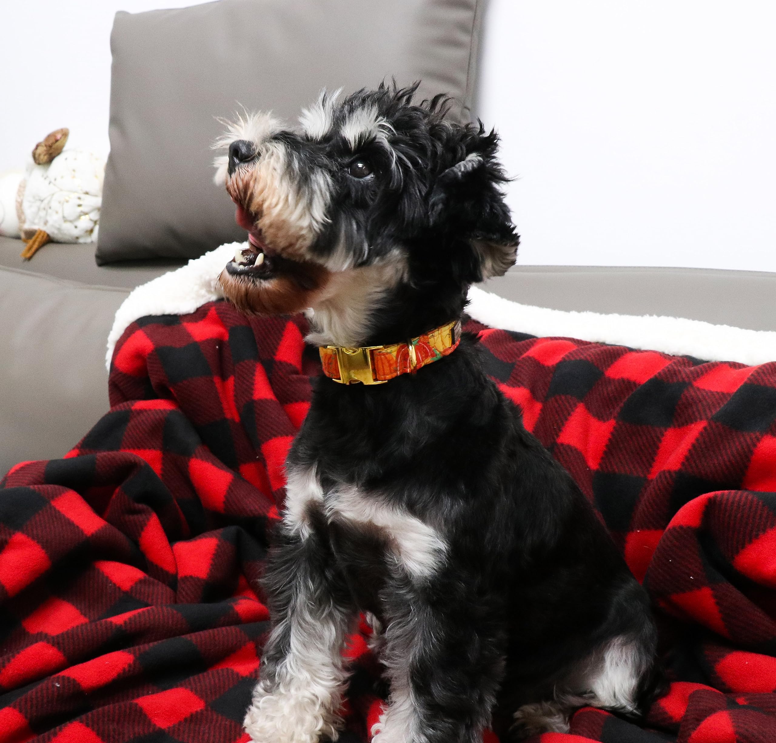 Halloween Dog Collar Metal Buckle Orange Pumpkin Collar Gift Durable Cute Collar for Small Medium Large Boys Girls Dogs