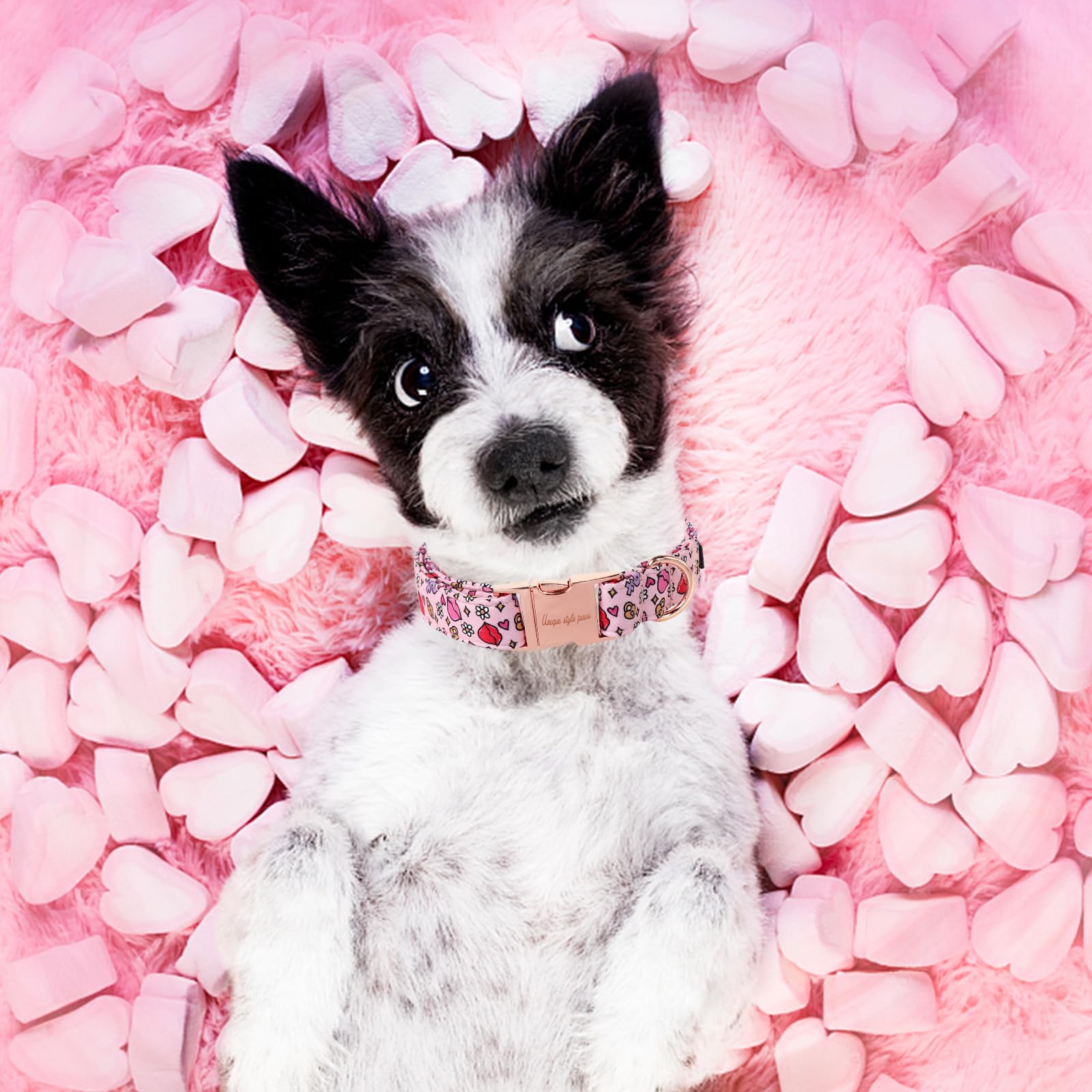 Valentine's Day Dog Collar Metal Buckle Collar XO Red Lips Gift for Small Medium Large Boys Girls Dogs Wedding