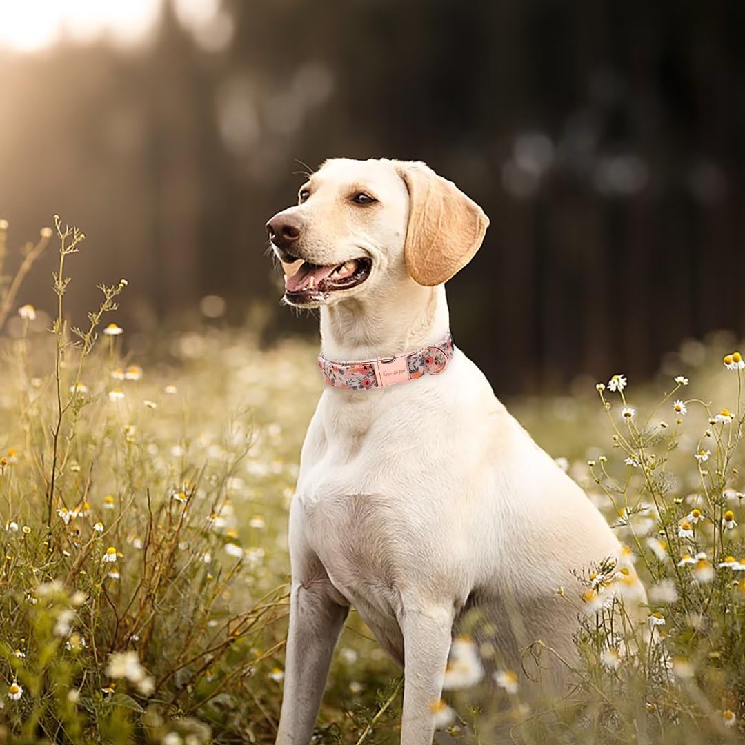 Dog Collar Metal Buckle Pink Rose Collar Flower Gift Durable Cute Collar for Small Medium Large Boys Girls Dogs