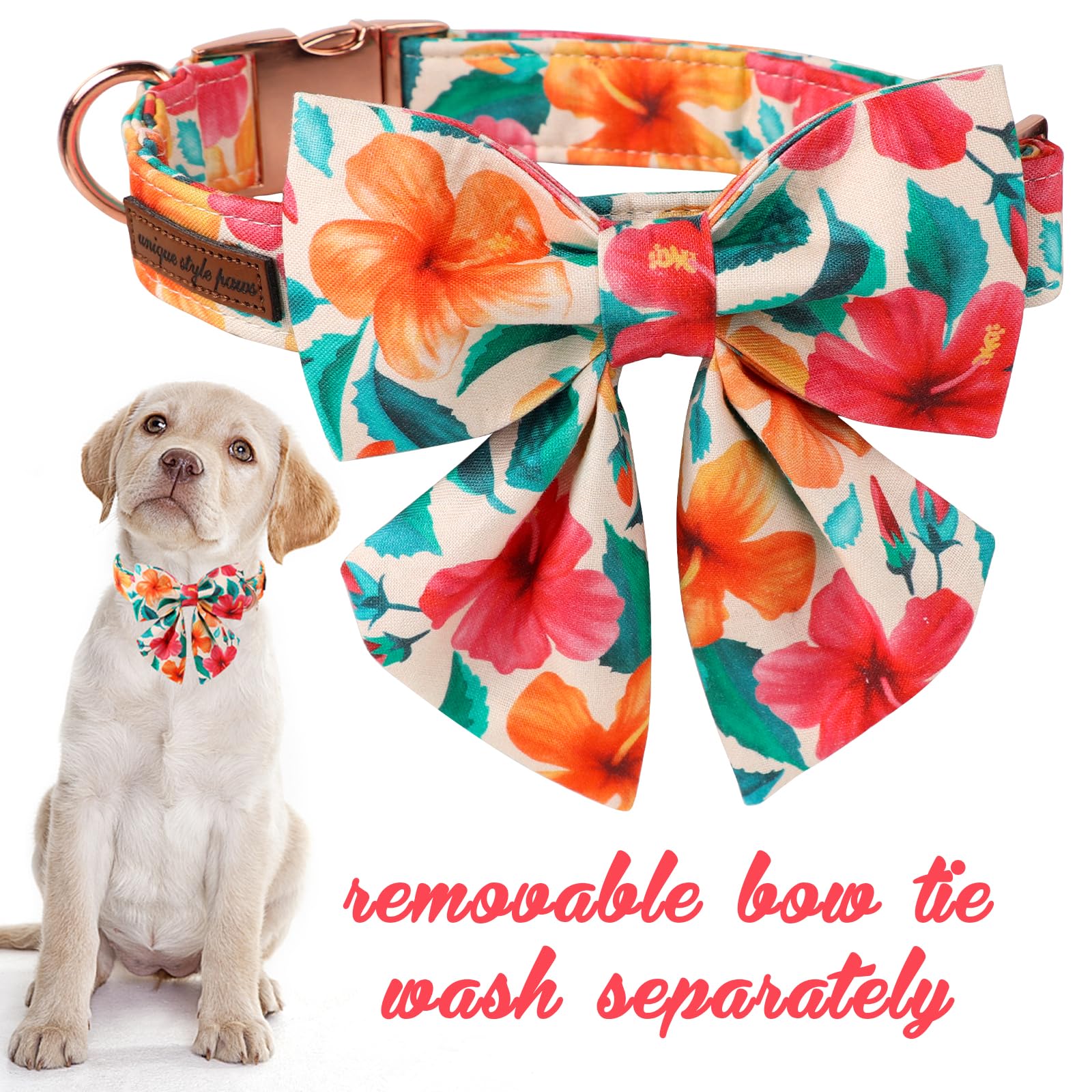 Floral Plaid Colorful Dog Collar with Sailor Bow