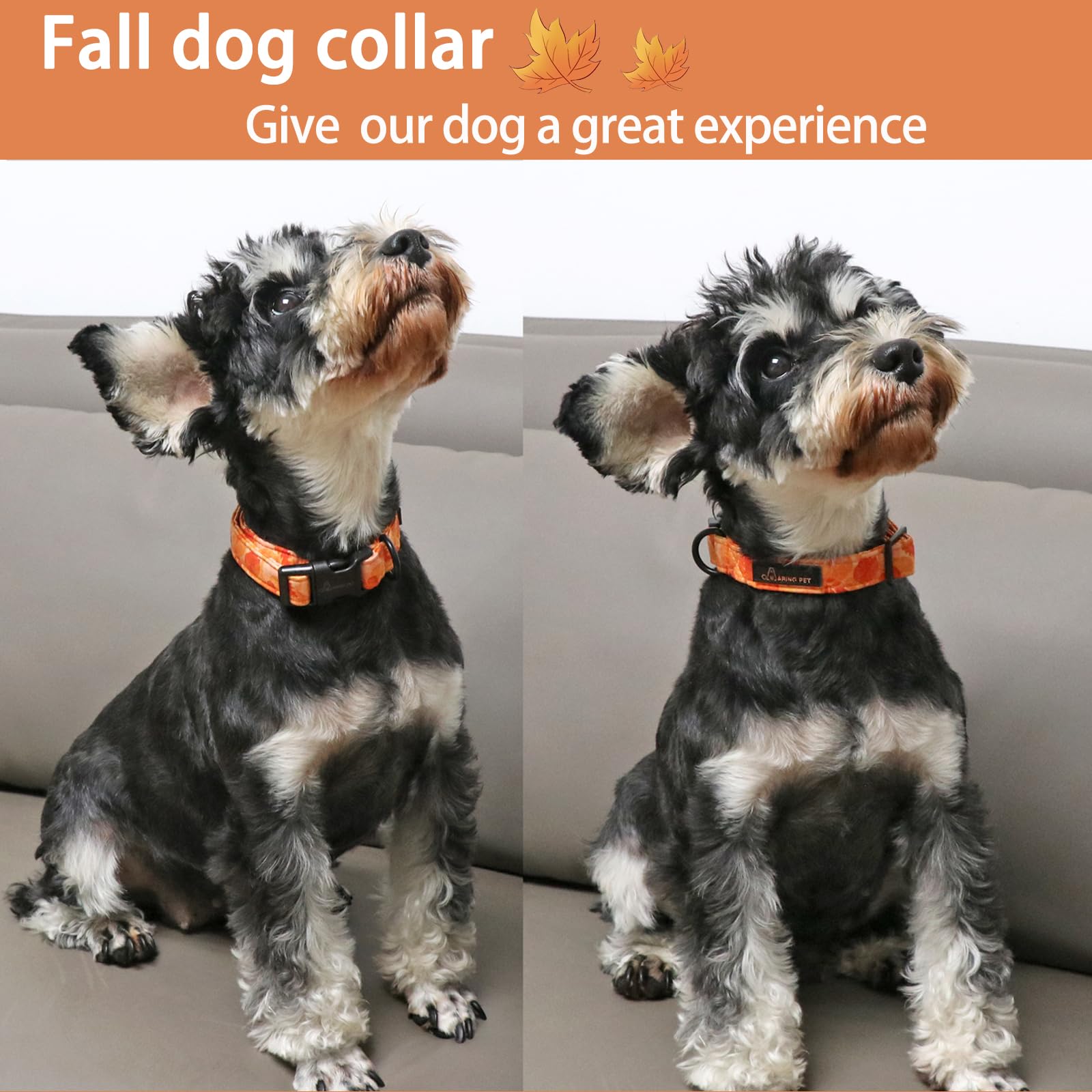Fall Dog Collar-Cute Orange Leaves Dog Collar for Small Dogs, Cotton Lightweight Dog Collars with Quick Release Buckle for Small Medium Large Dogs