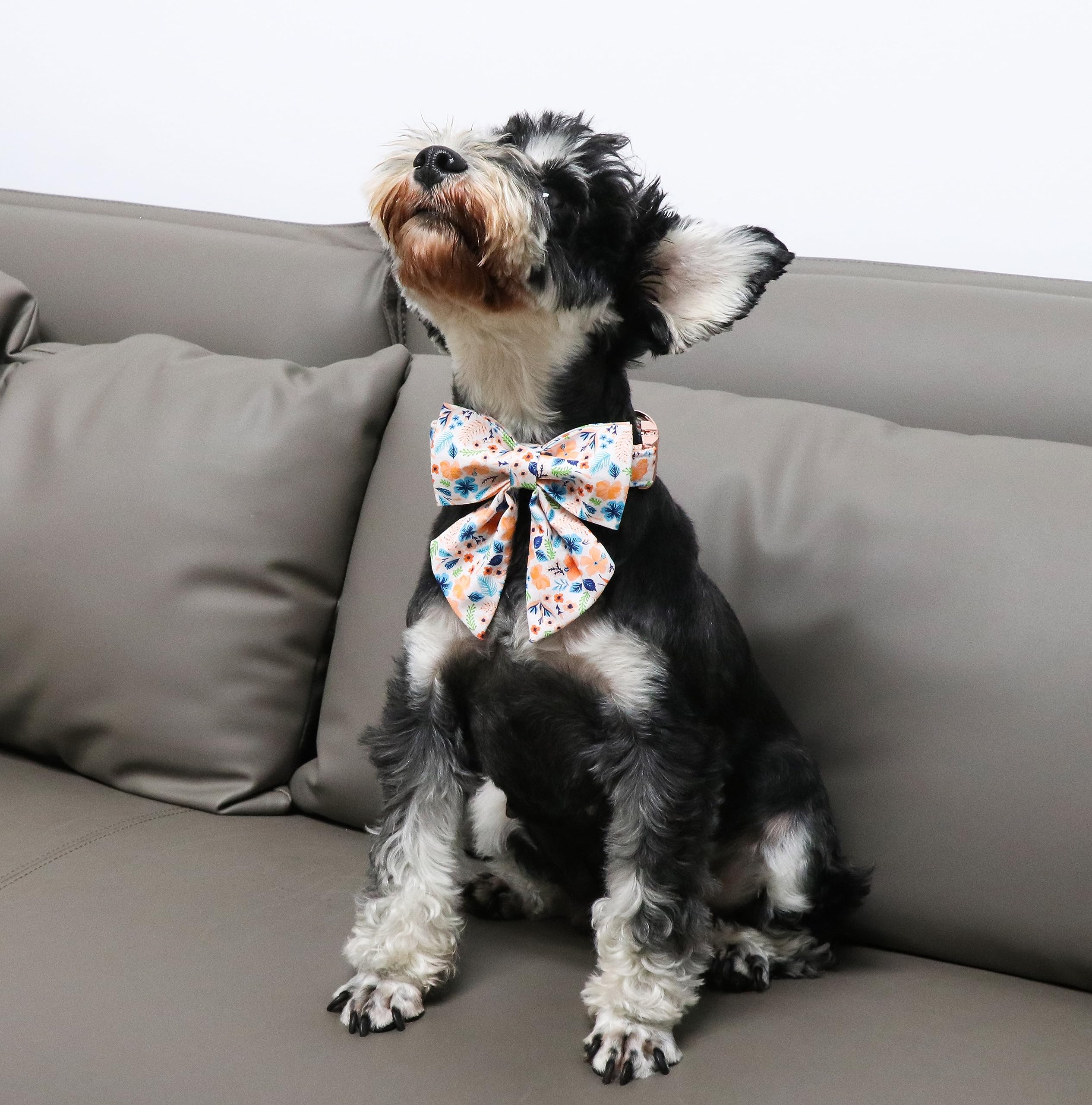 Floral Plaid Colorful Dog Collar with Bow Tie