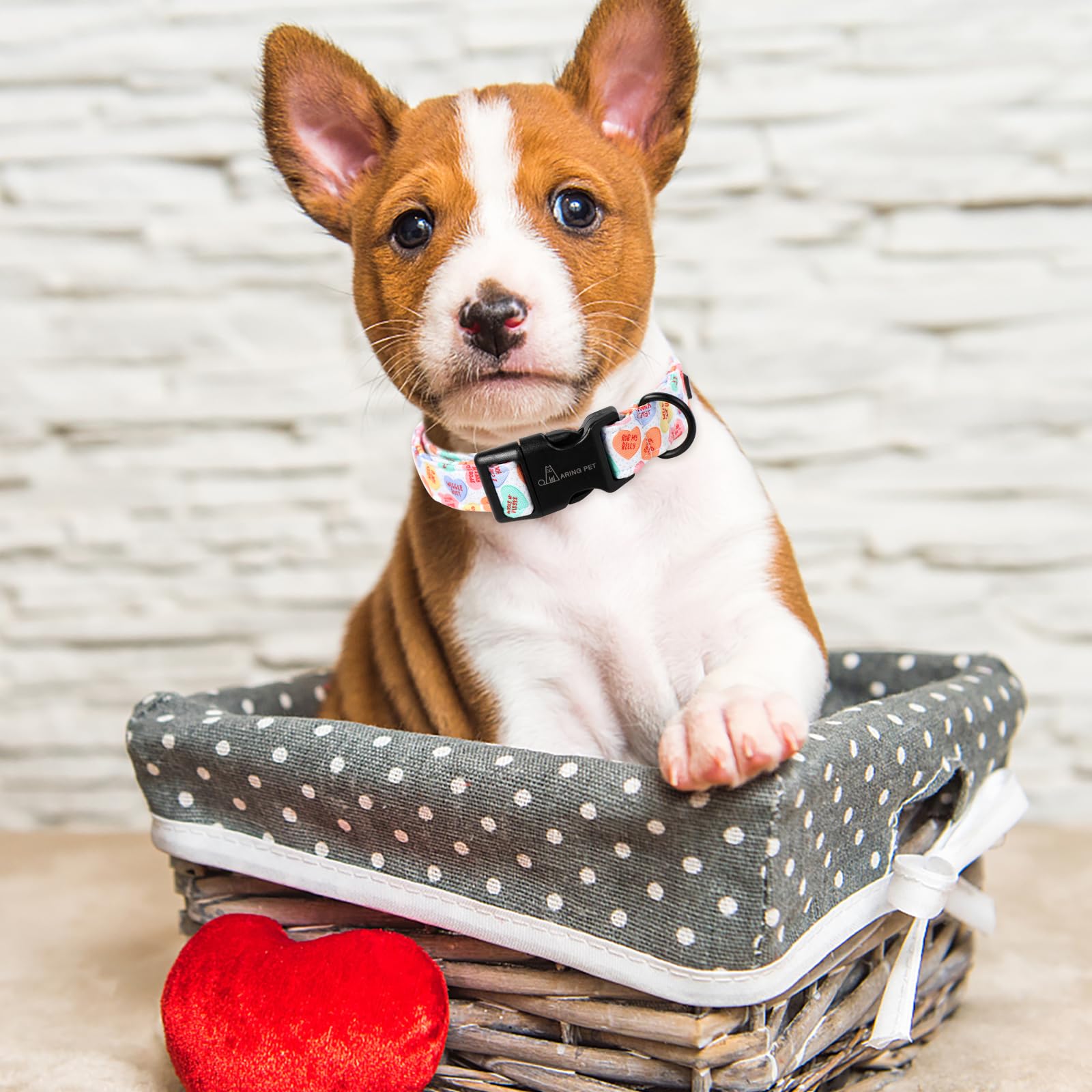 Valentine's Day Dog Collar-Cute Cotton Heart Dog Collars, Adjustable Valentine Candy Heart Pet Collars Girl Puppy Collar with Quick Release Buckle