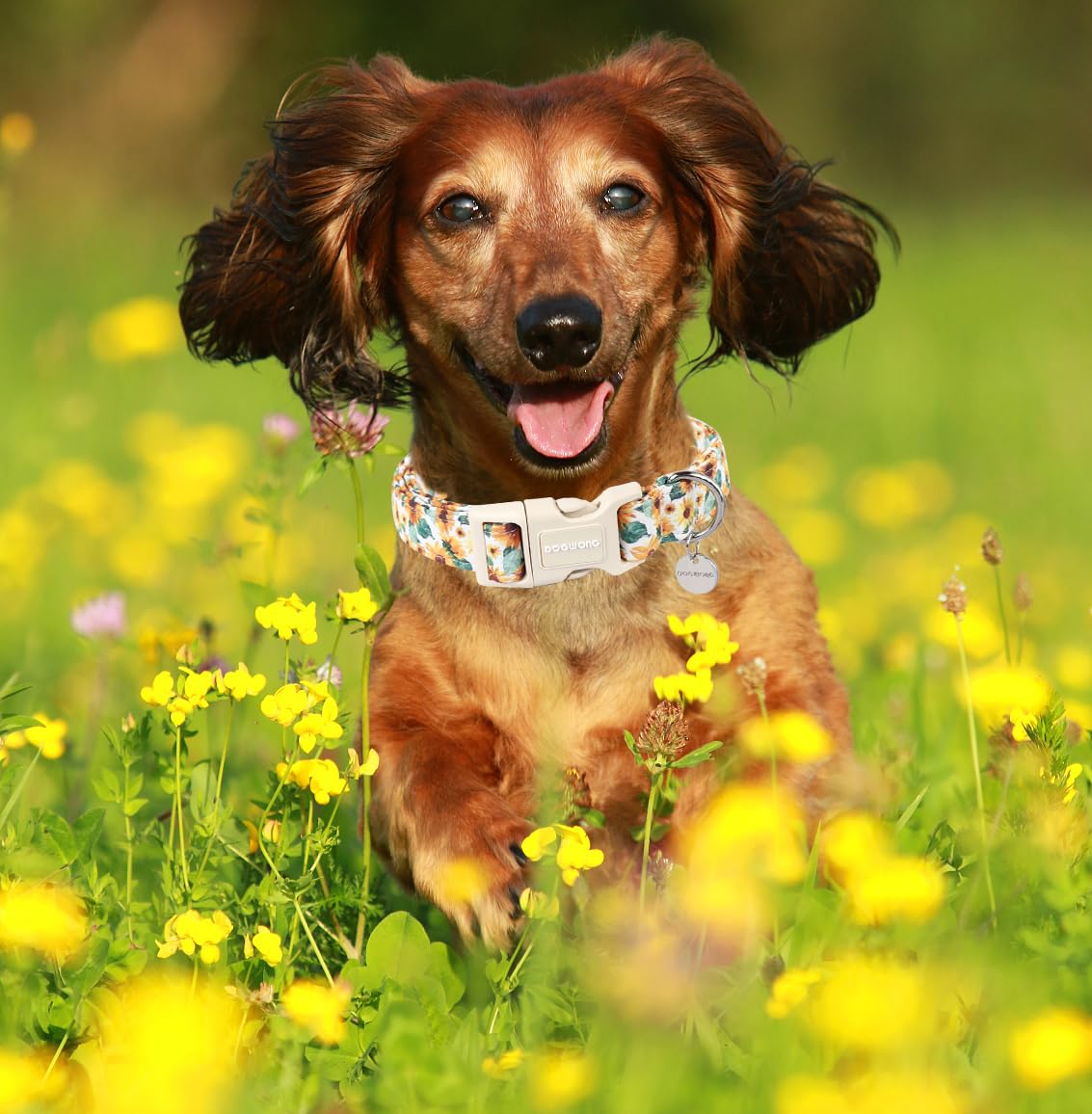 Female Cotton Dog Collar, Sunflower Dog Collar Durable Soft Natural Fabric Spring Pet Dog Collar Cute Summer Puppy Necklace for Small Medium Large Dog