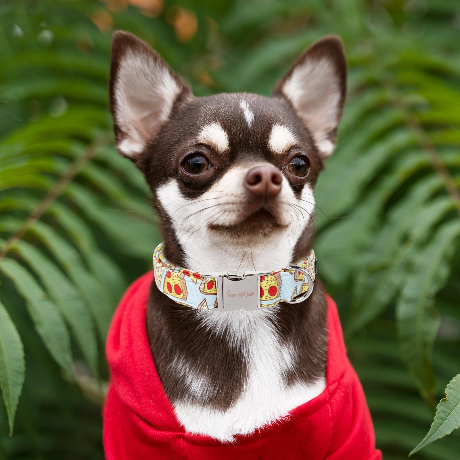 Dog Collar Metal Buckle Pizza Collar Gift Durable Cute Collar for Small Medium Large Boys Girls Dogs