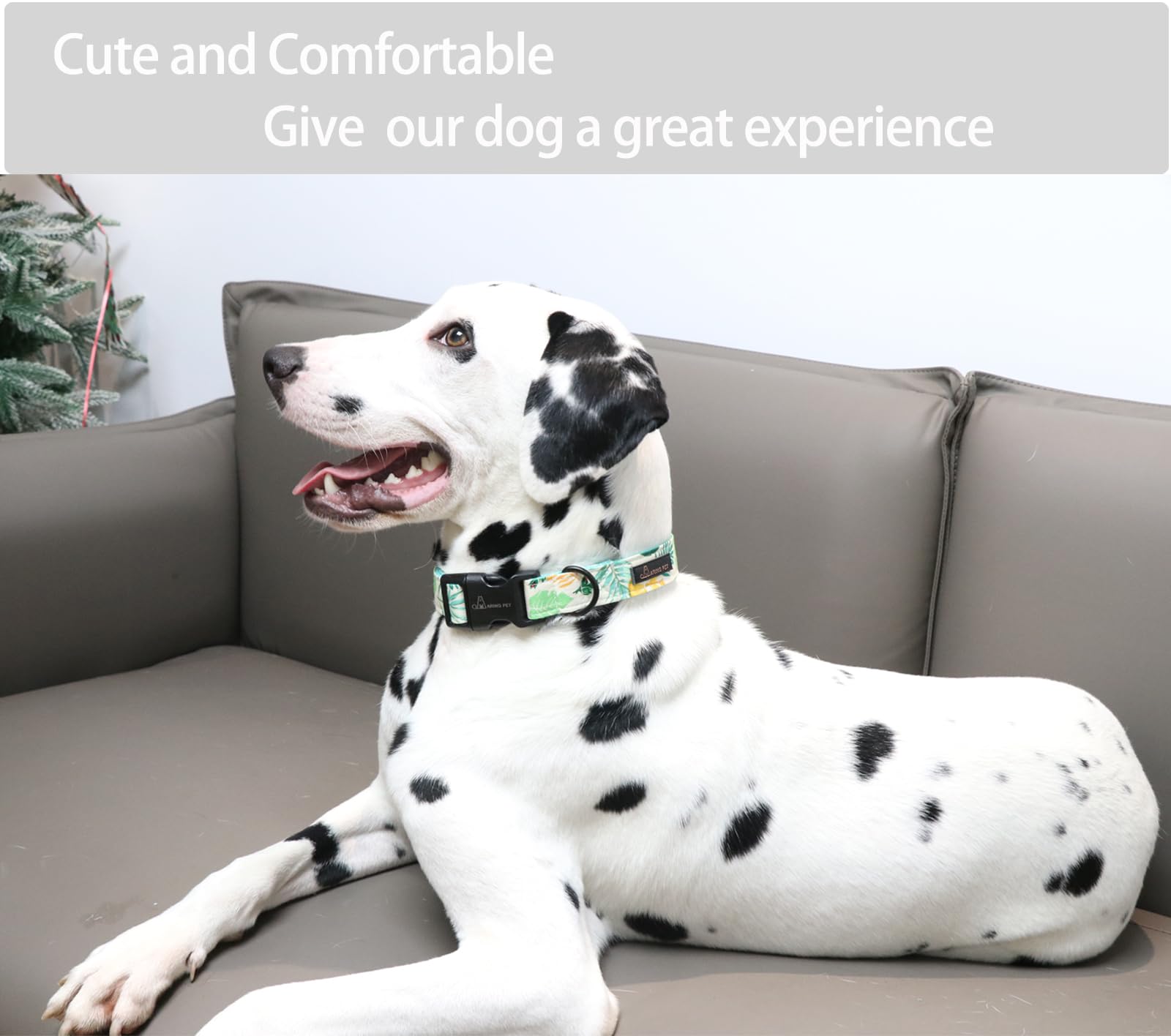 Summer Dog Collar-Lightweight Dog Collar for Small Dogs, Adjustable Comfortable Cotton Dog Collars for Small Medium Large Dogs