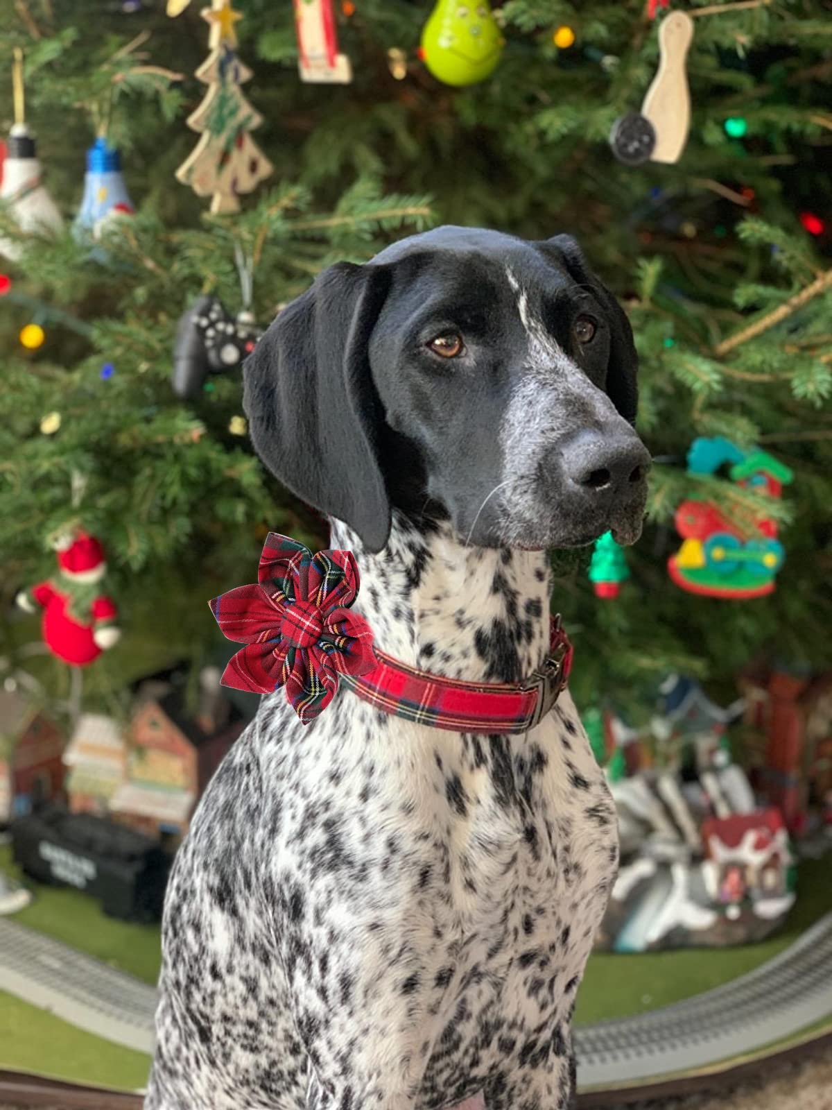 Christmas Dog Collar With Flower